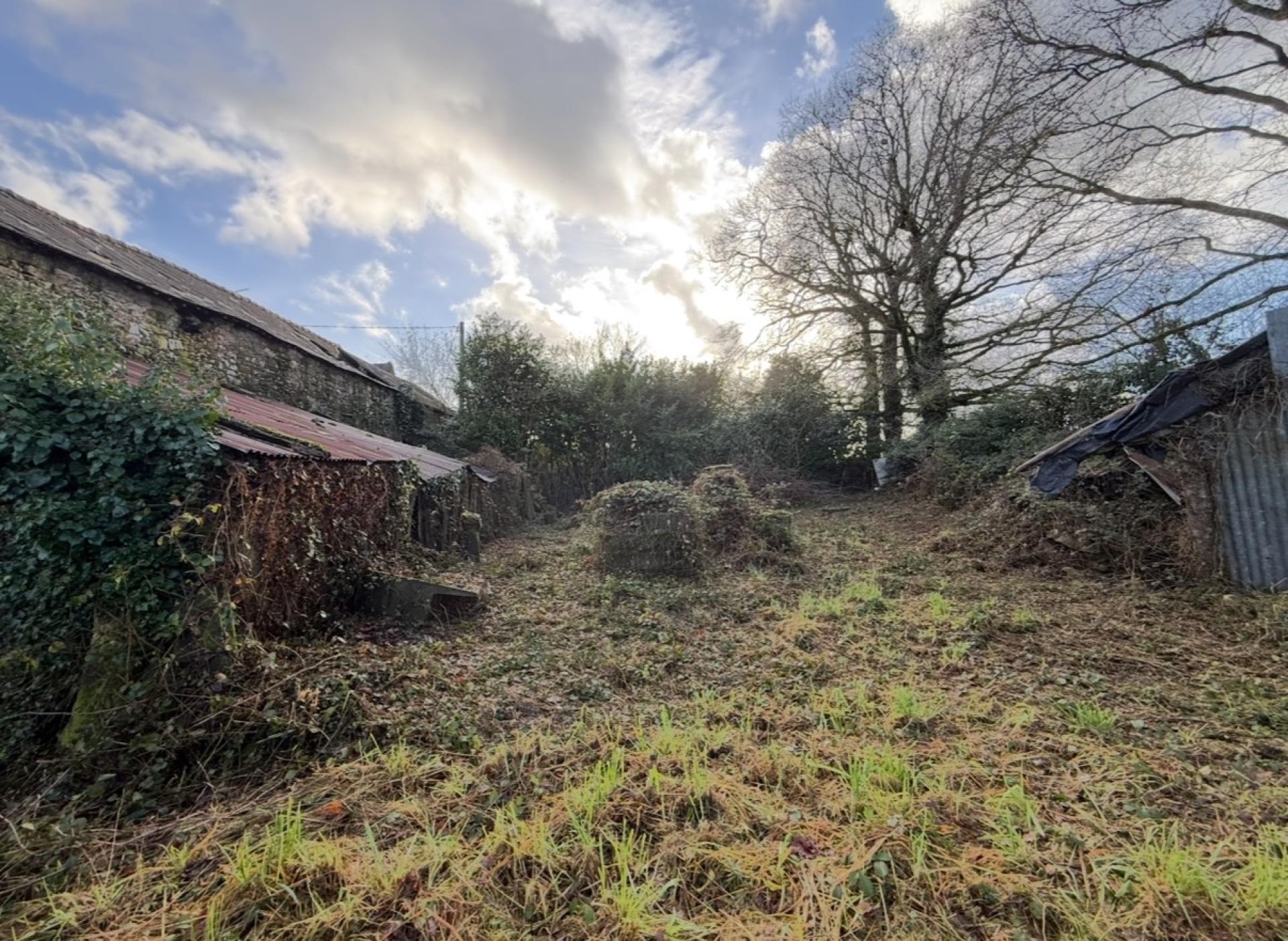 Miniature photo - 5 / 13