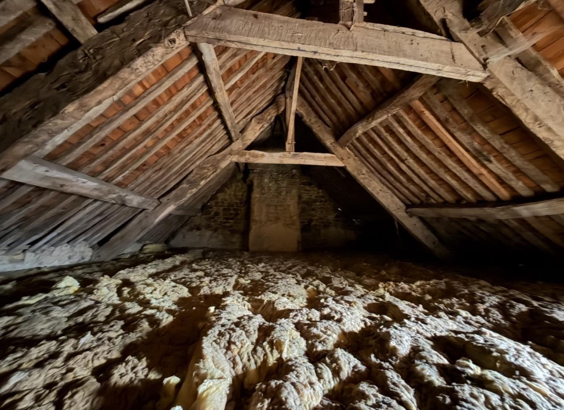 Miniature photo - 13 / 13