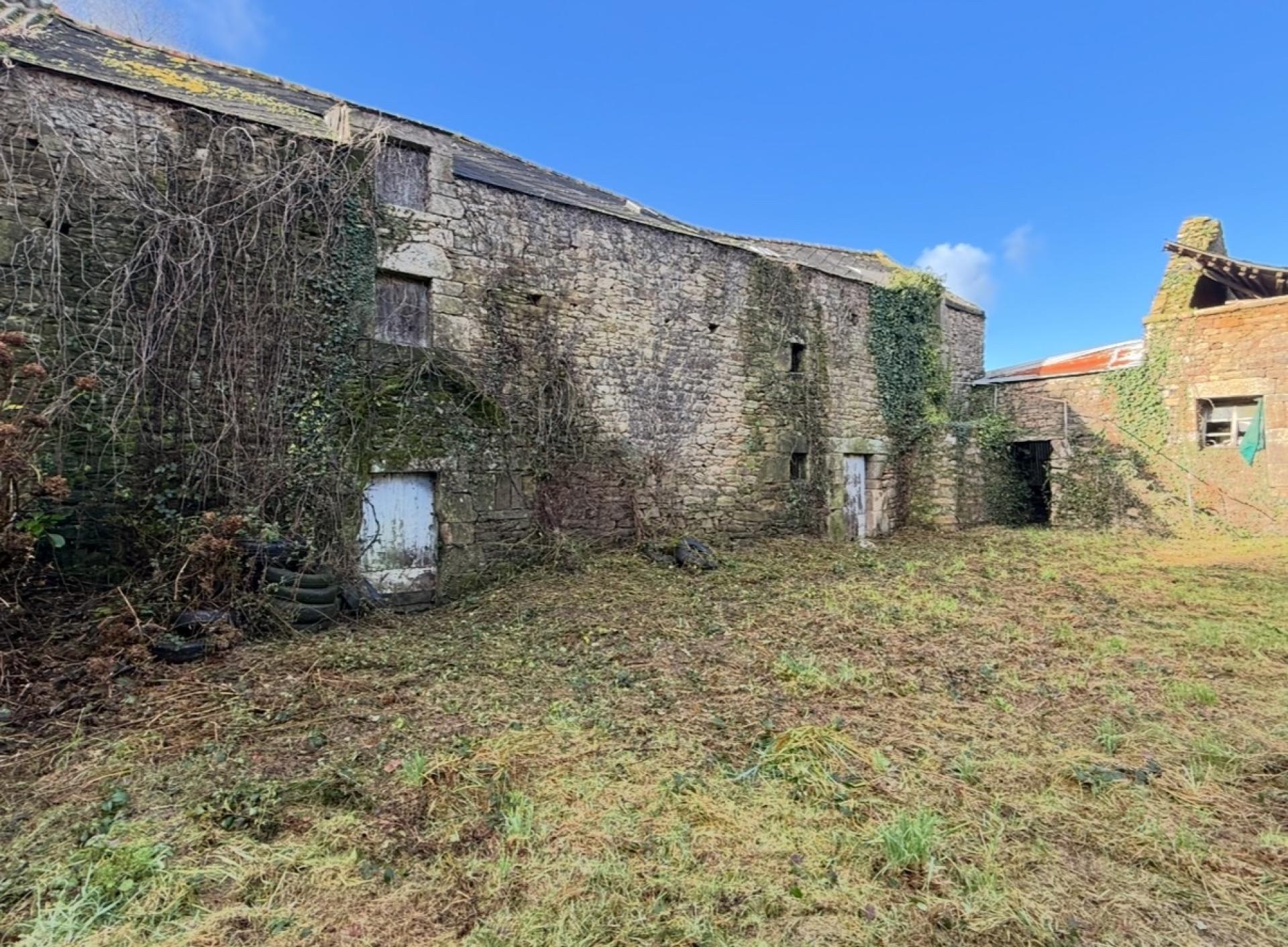 Miniature photo - 3 / 13