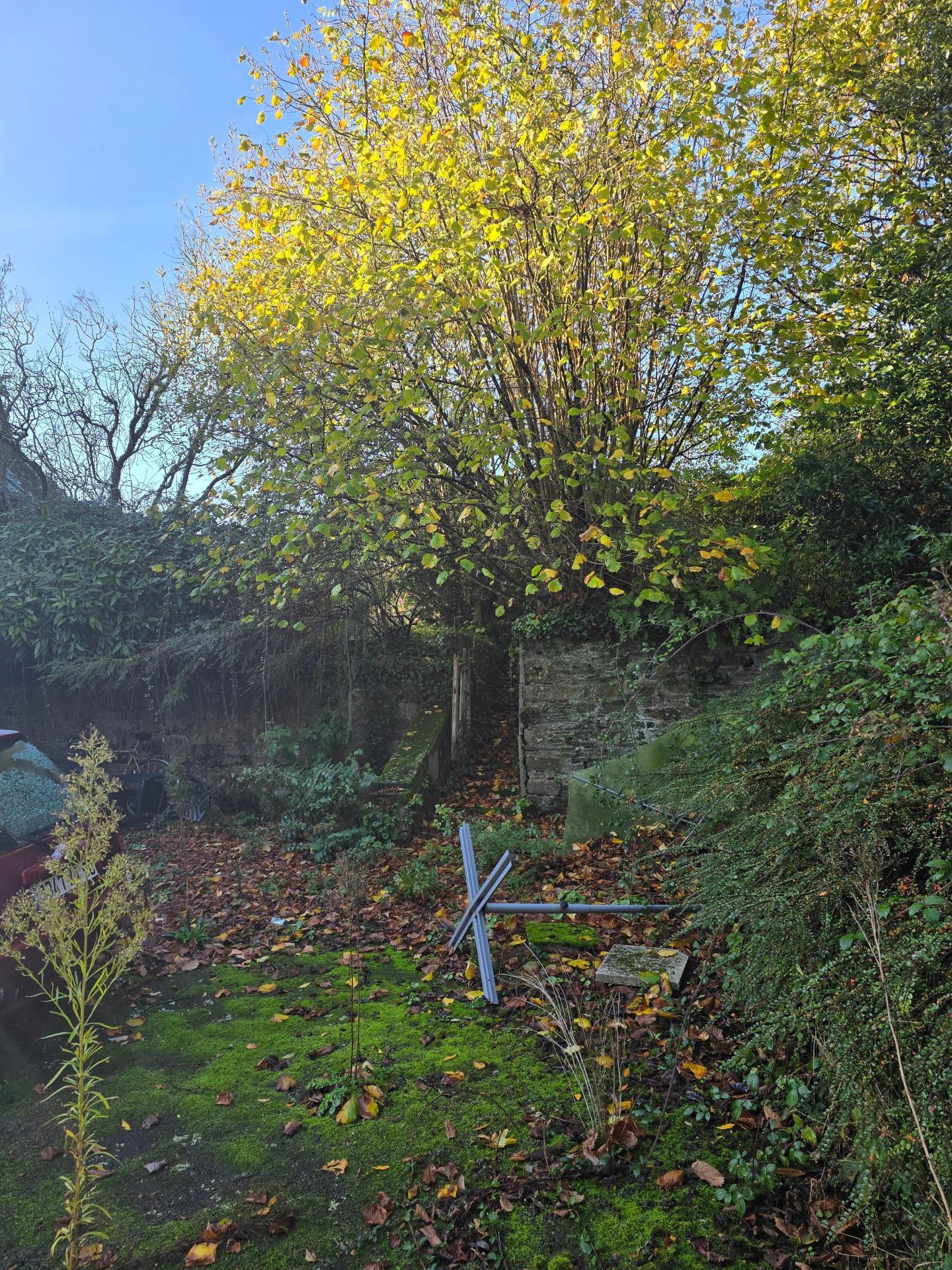 Miniature photo - 4 / 7