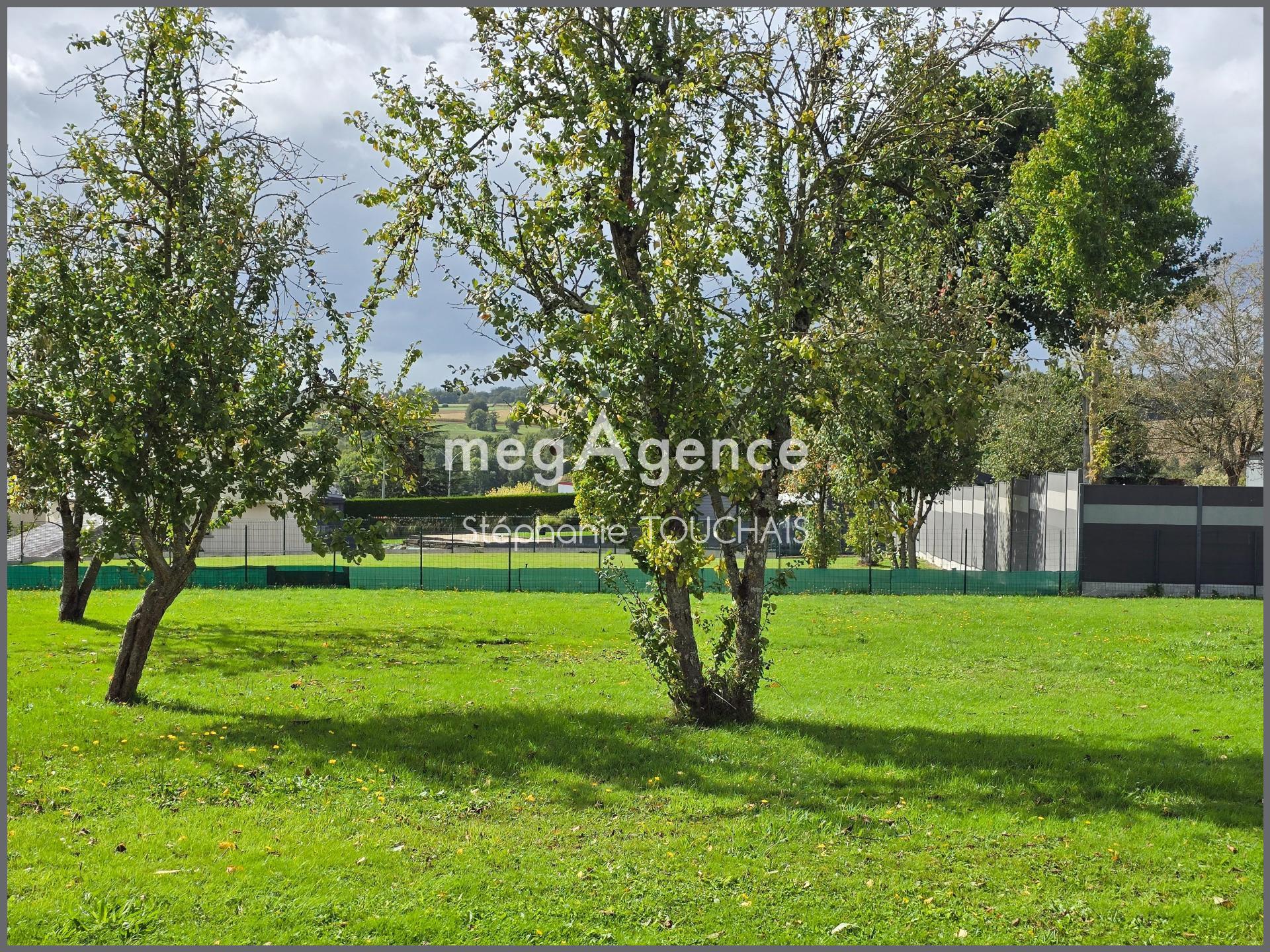 Miniature photo - 12 / 15