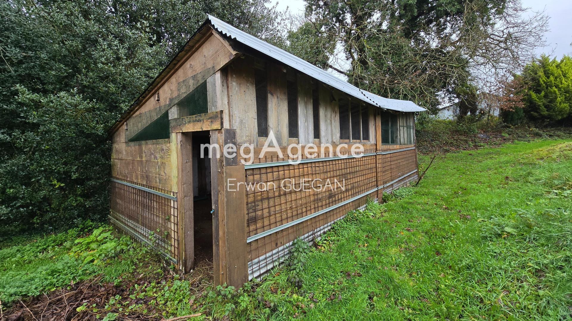 Miniature photo - 19 / 19