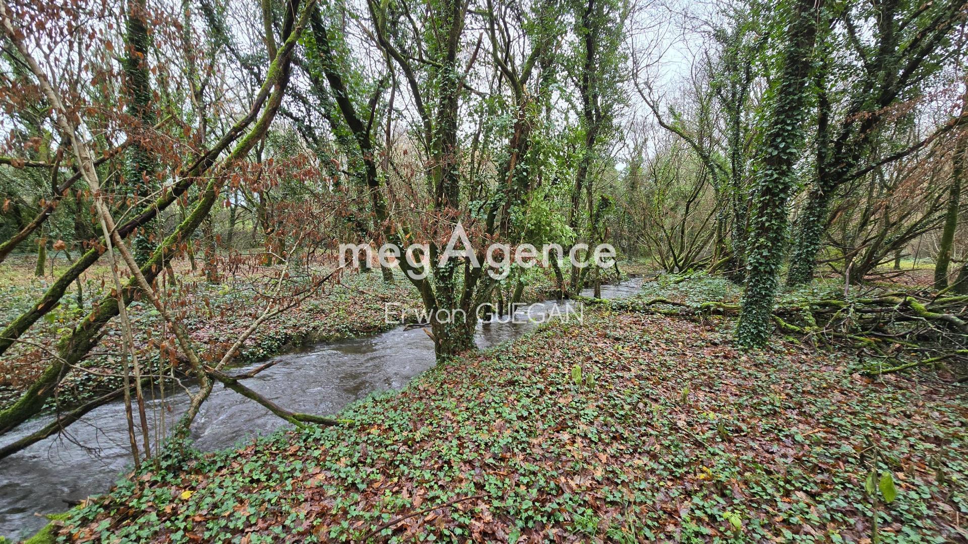 Miniature photo - 4 / 19