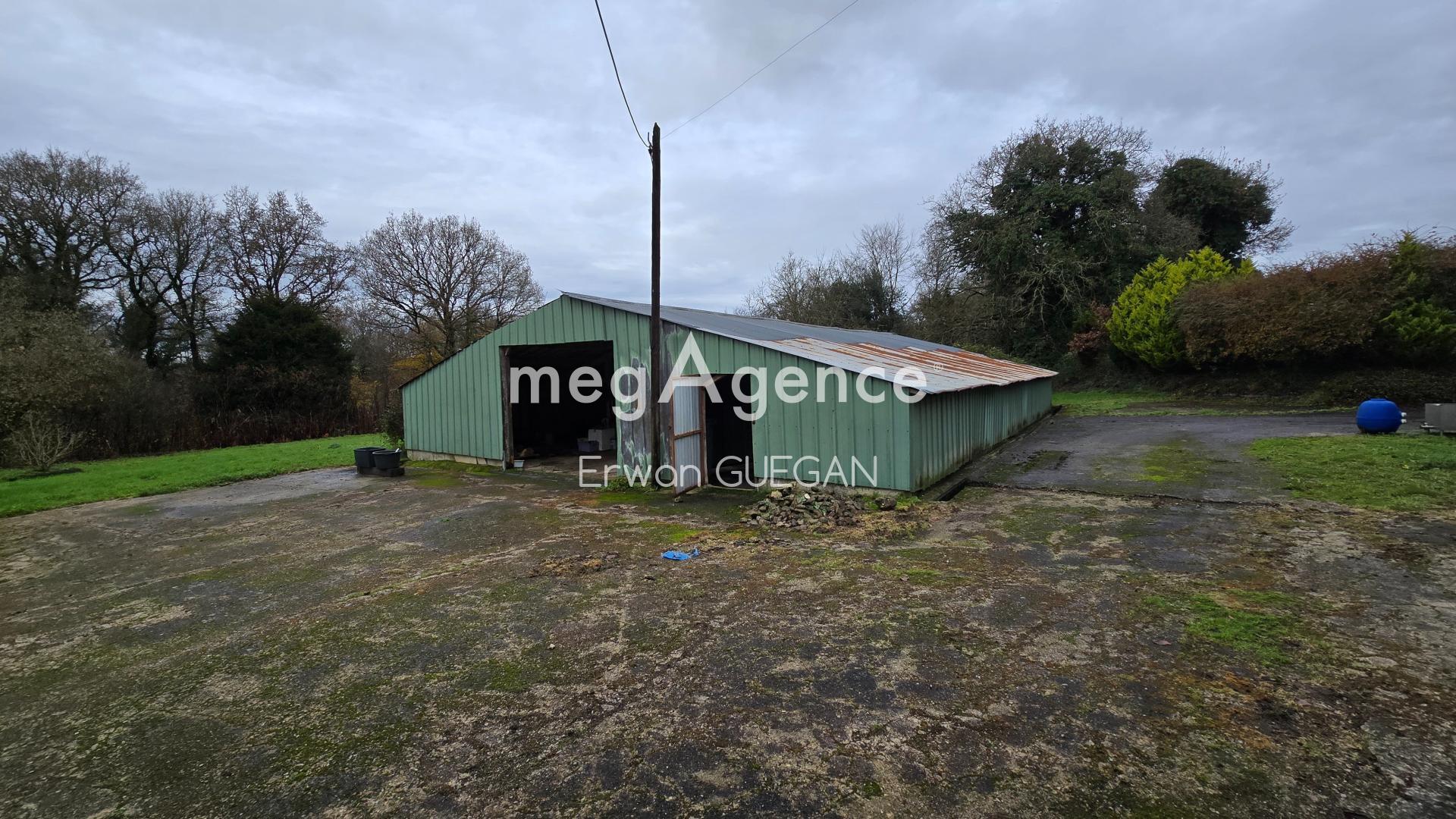 Miniature photo - 6 / 19