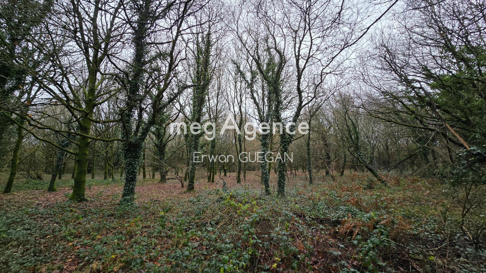 Miniature photo - 5 / 19