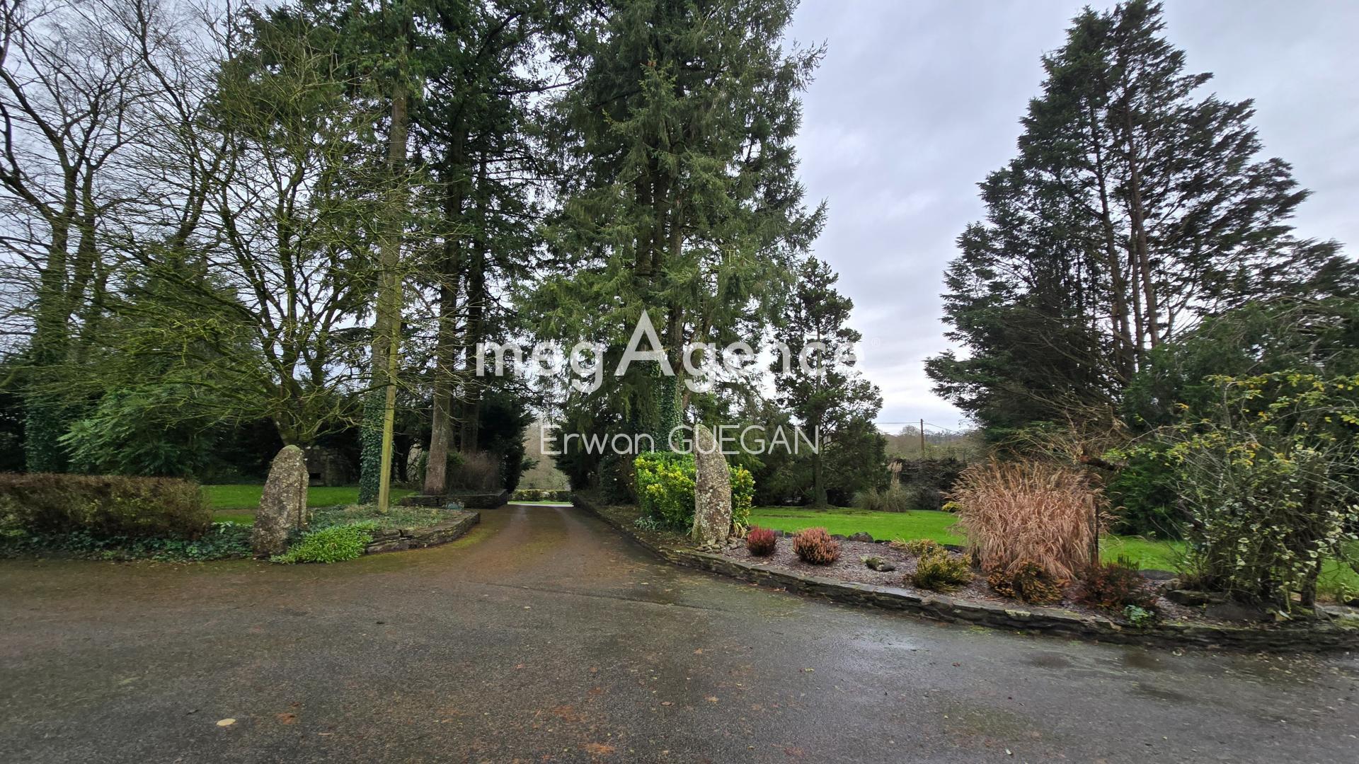 Miniature photo - 3 / 19