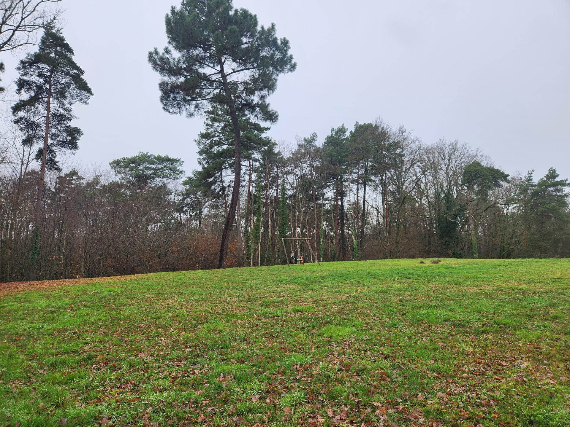 Miniature photo - 13 / 15