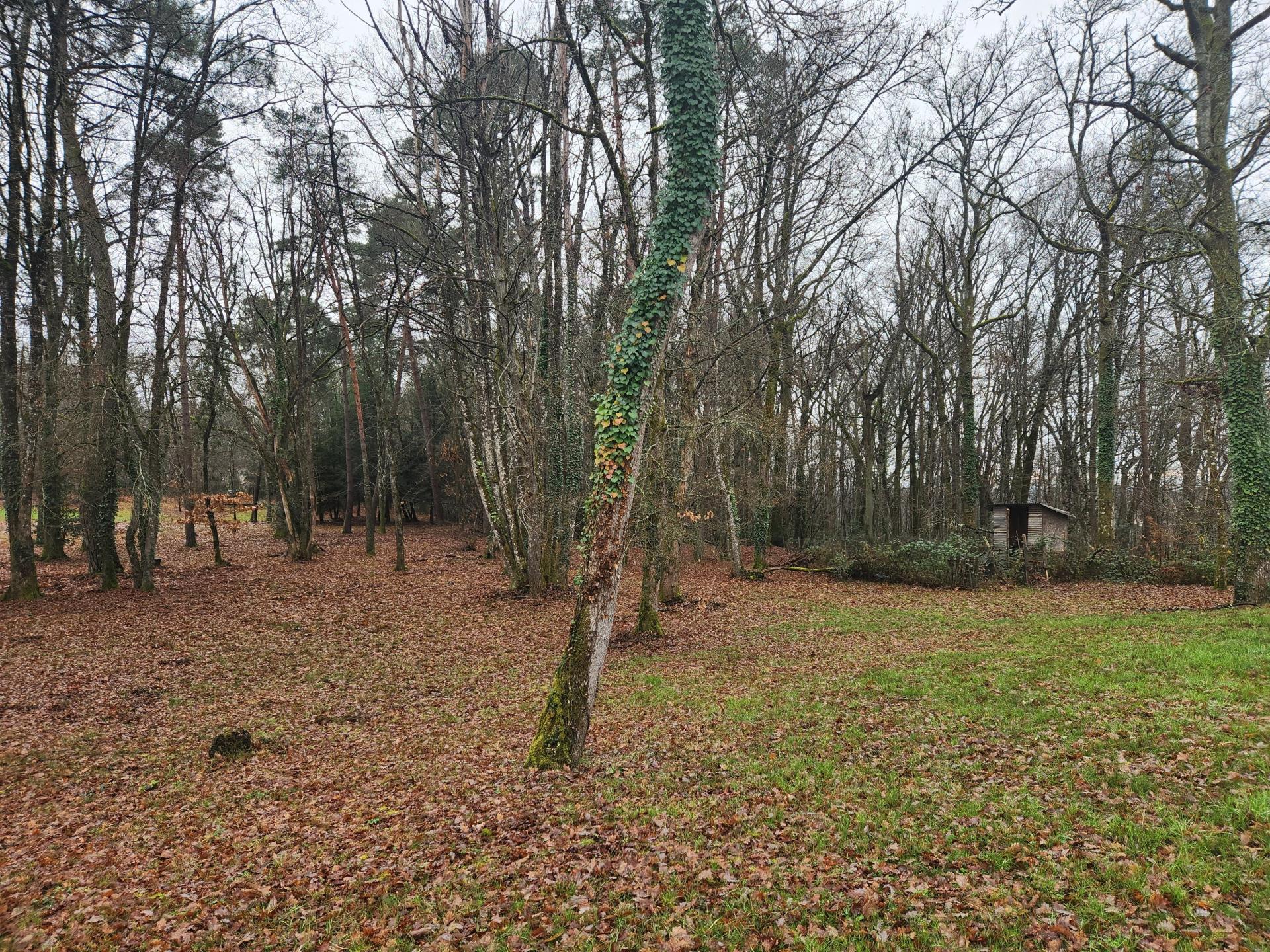 Miniature photo - 14 / 15