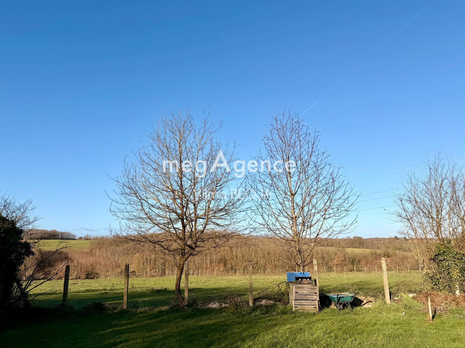 Miniature photo - 11 / 18