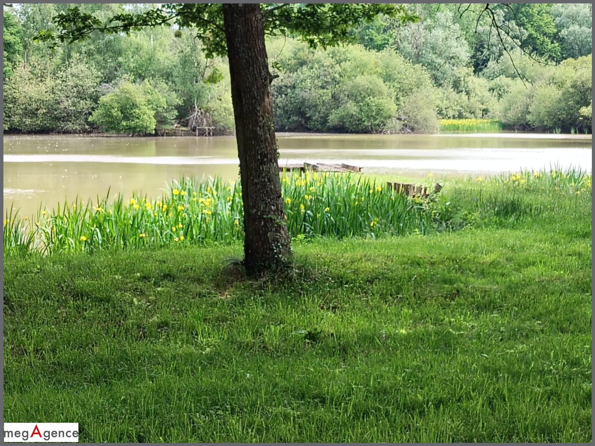 Photographie descriptive du bien