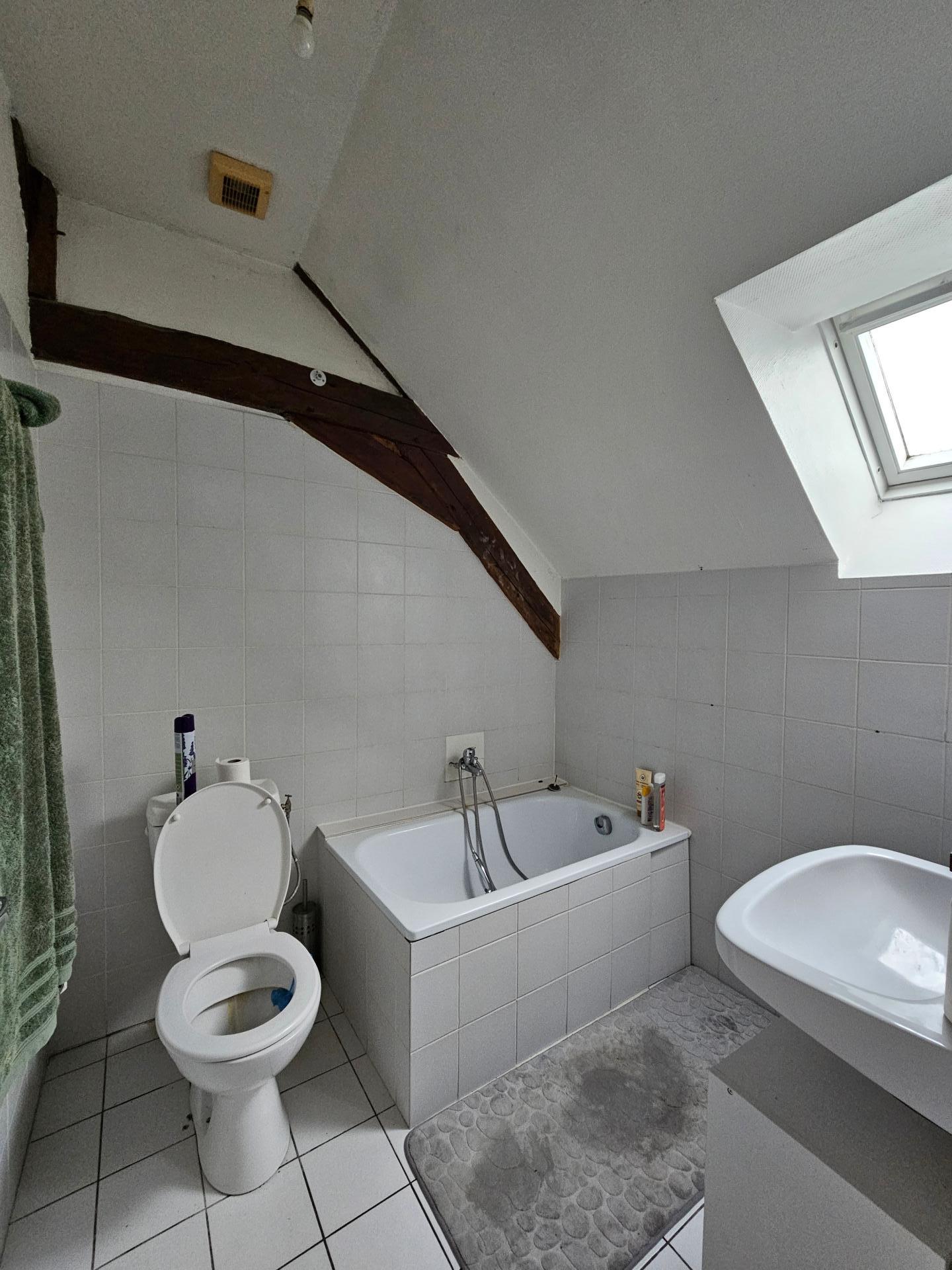 Miniature photo - 10 / 18