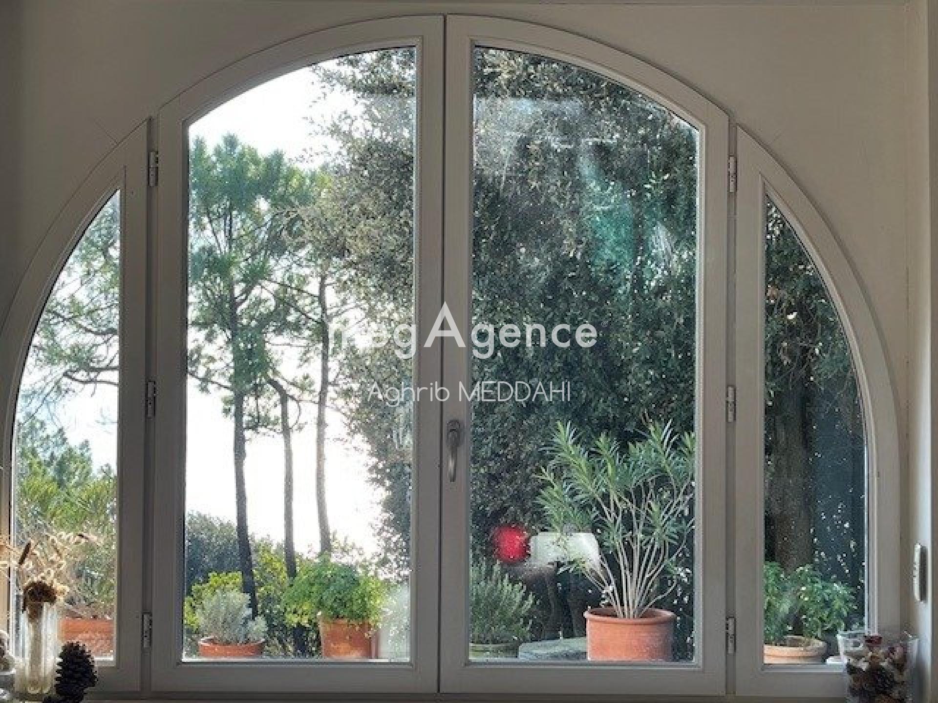 Miniature photo - 2 / 12