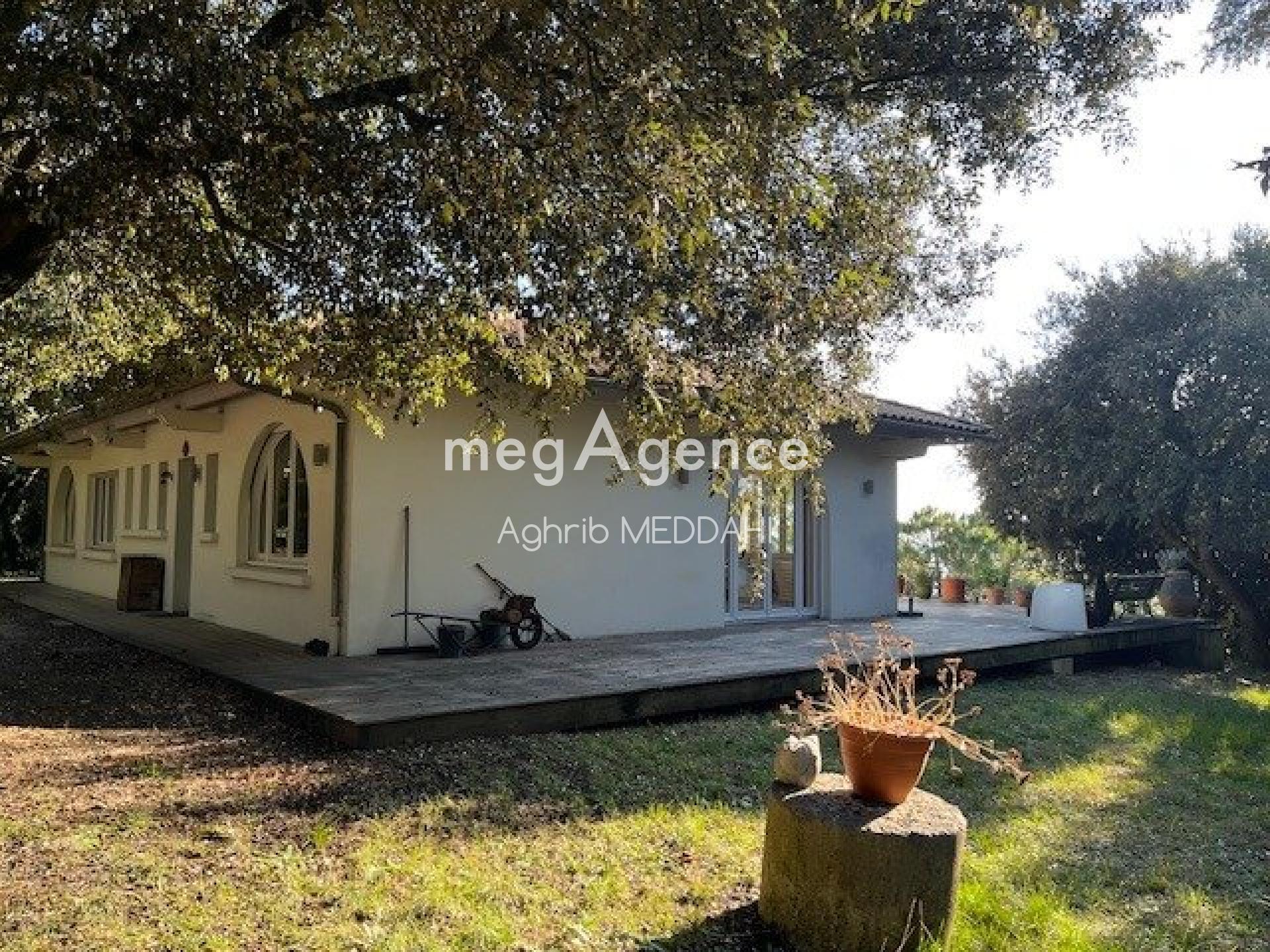 Miniature photo - 3 / 12