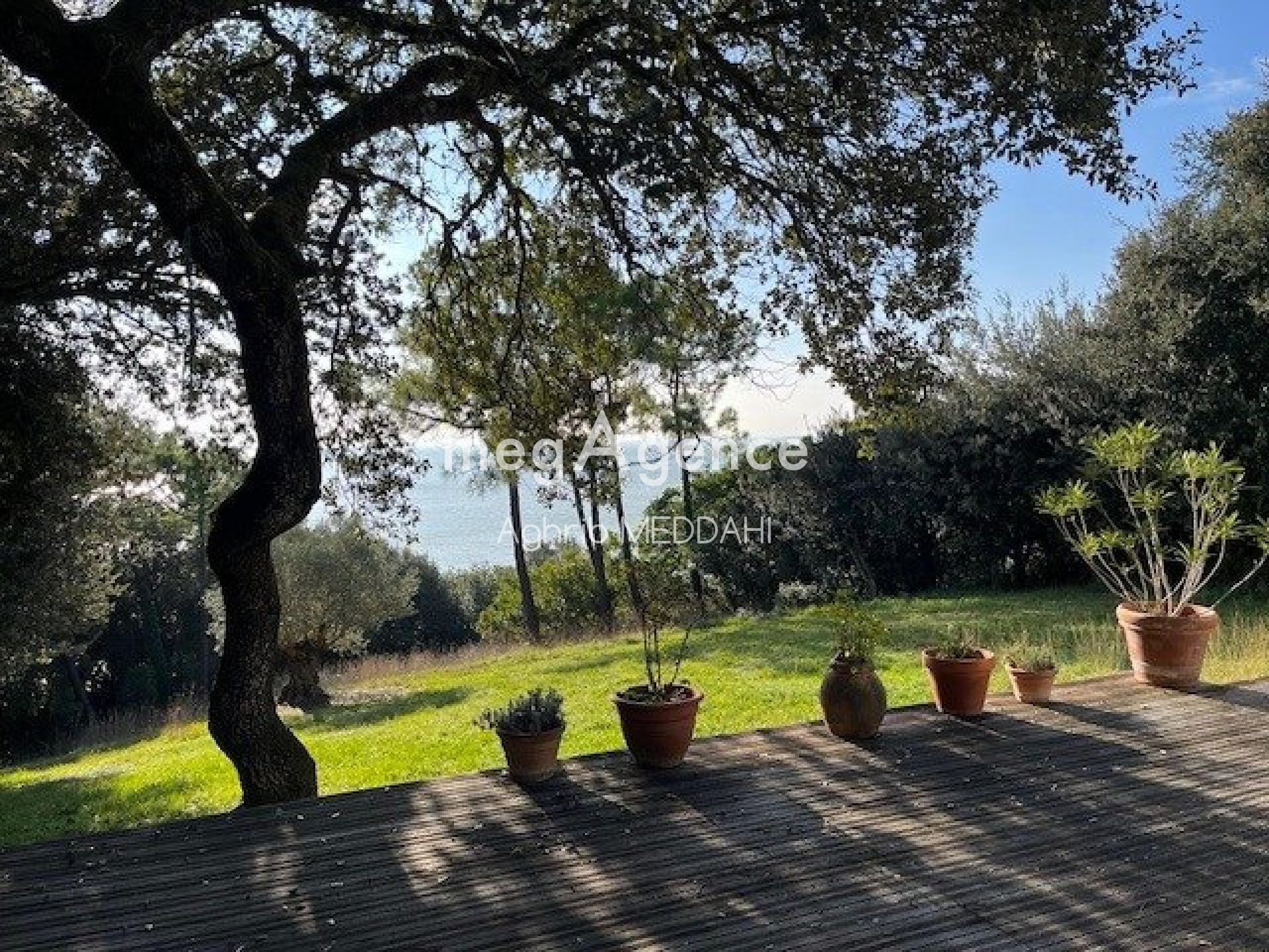 Miniature photo - 9 / 12