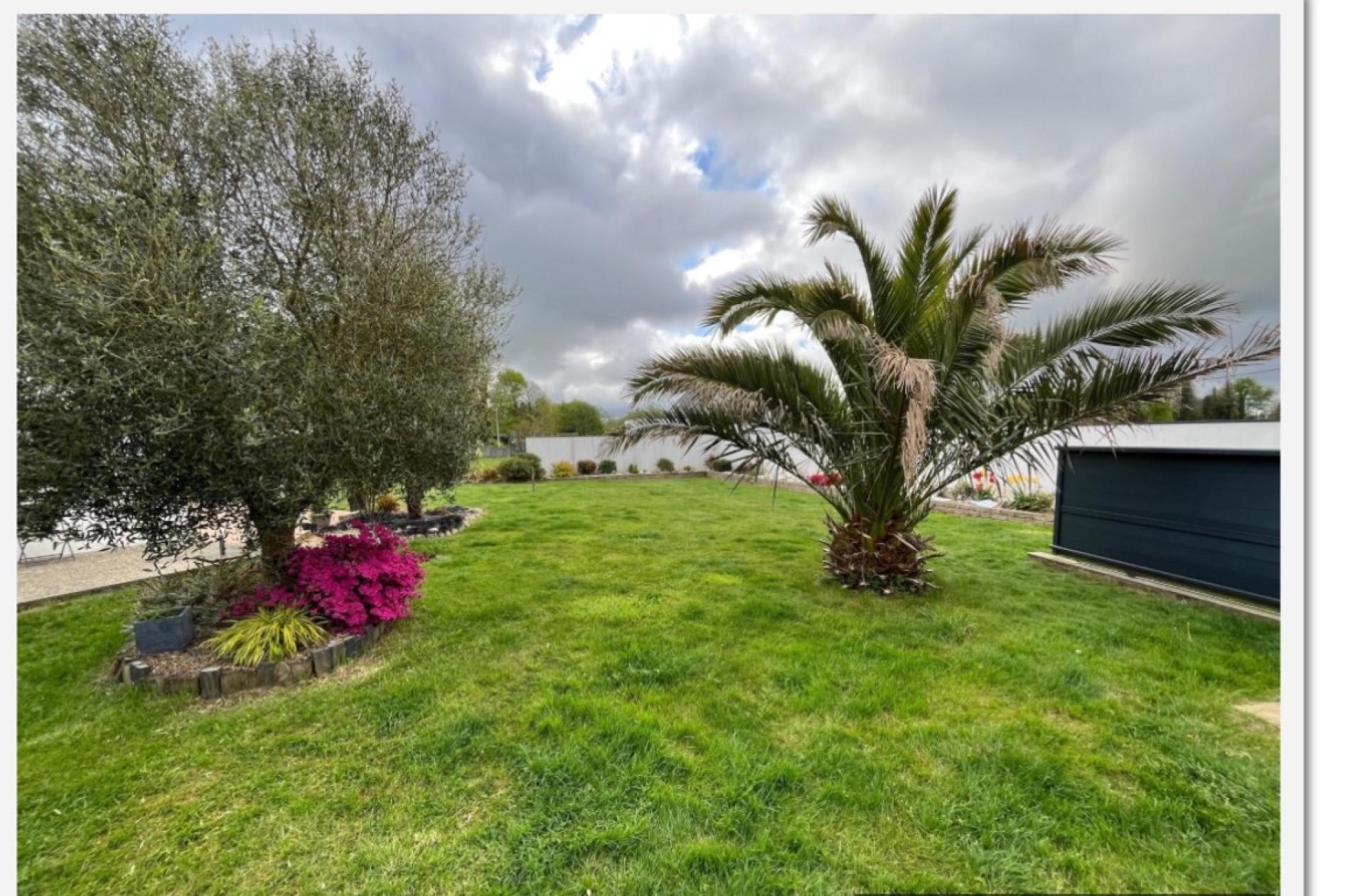 Miniature photo - 5 / 5