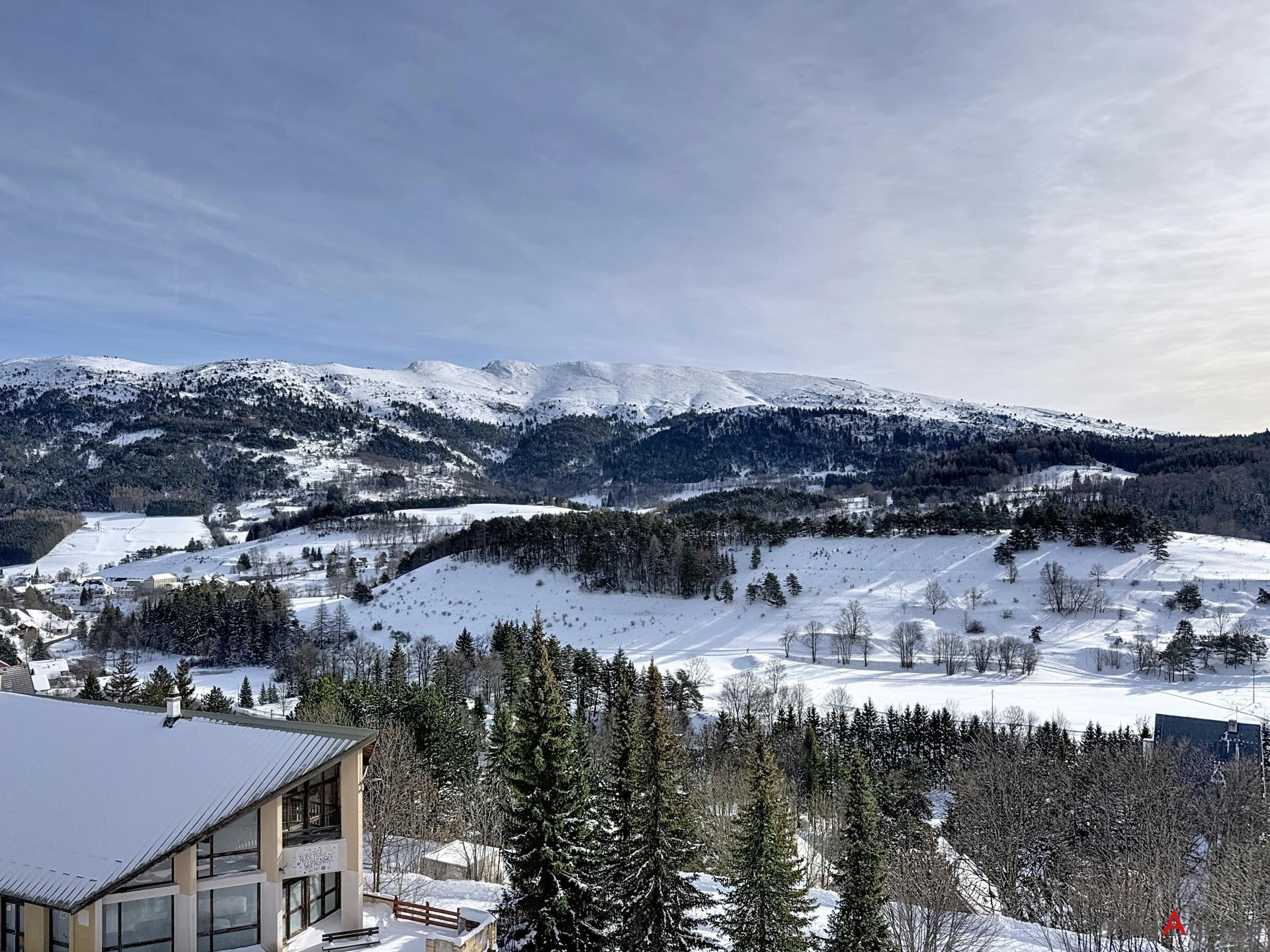 Miniature photo - 6 / 10