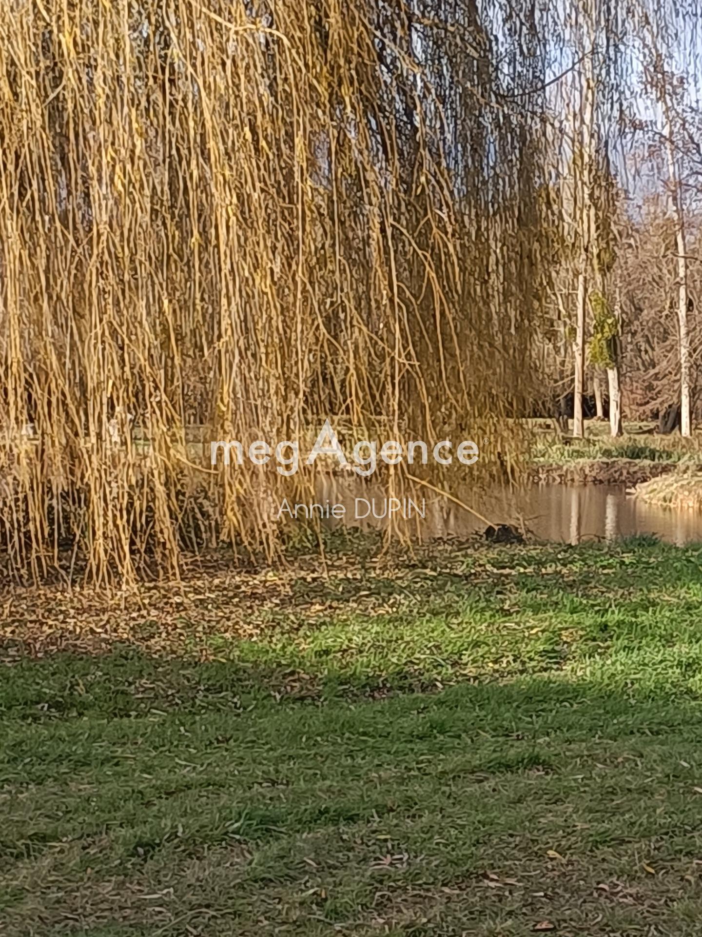 Miniature photo - 4 / 10