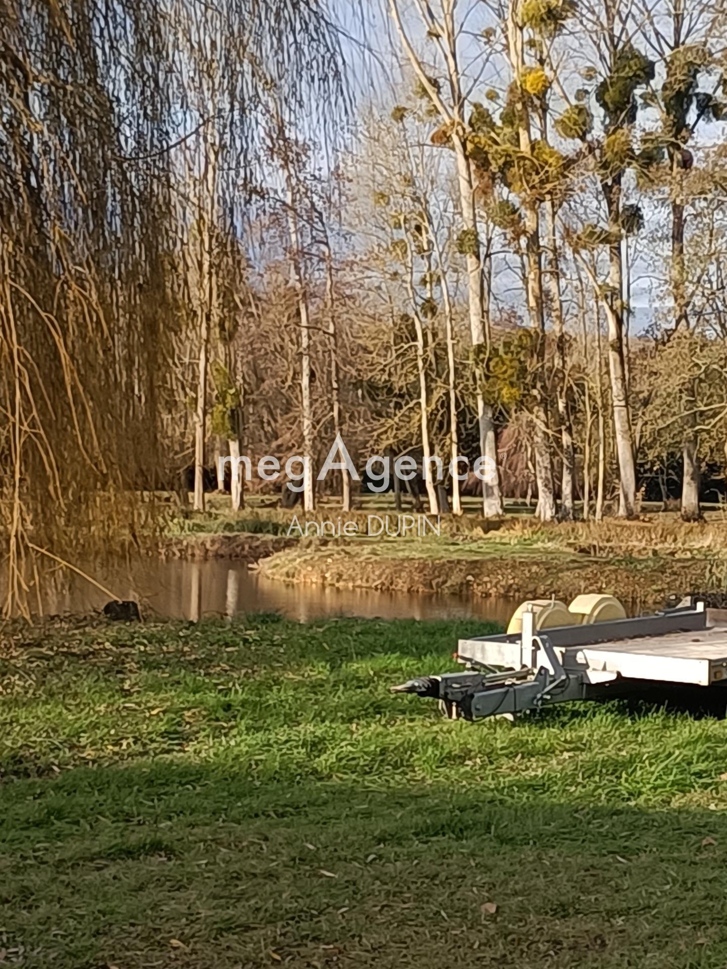 Miniature photo - 5 / 10