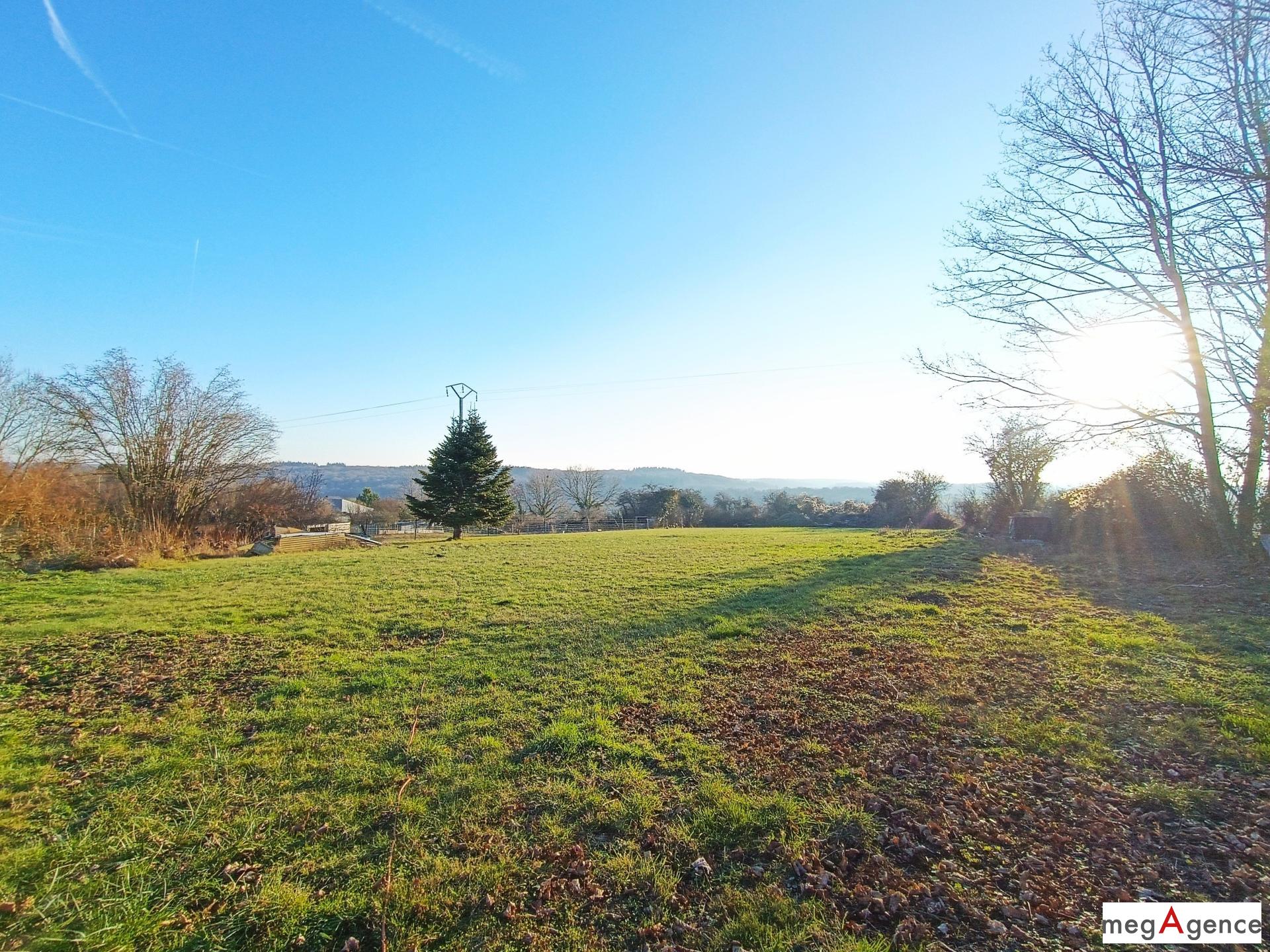 Miniature photo - 9 / 10