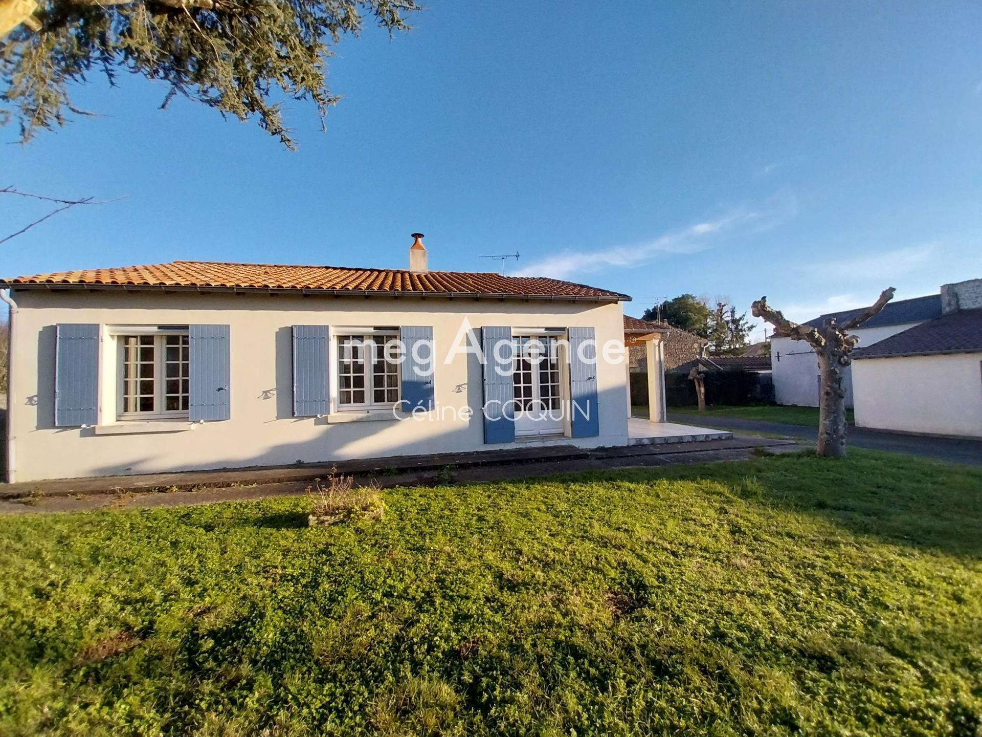 Miniature photo - 2 / 11