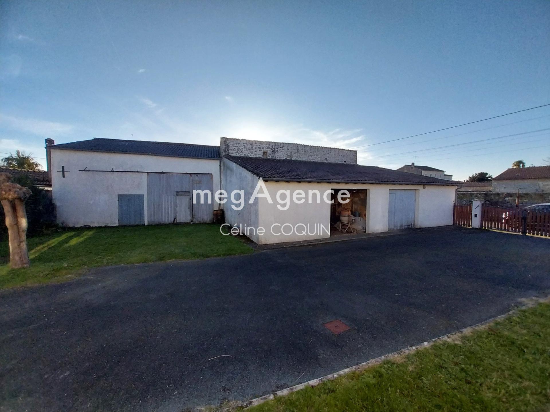 Miniature photo - 3 / 11