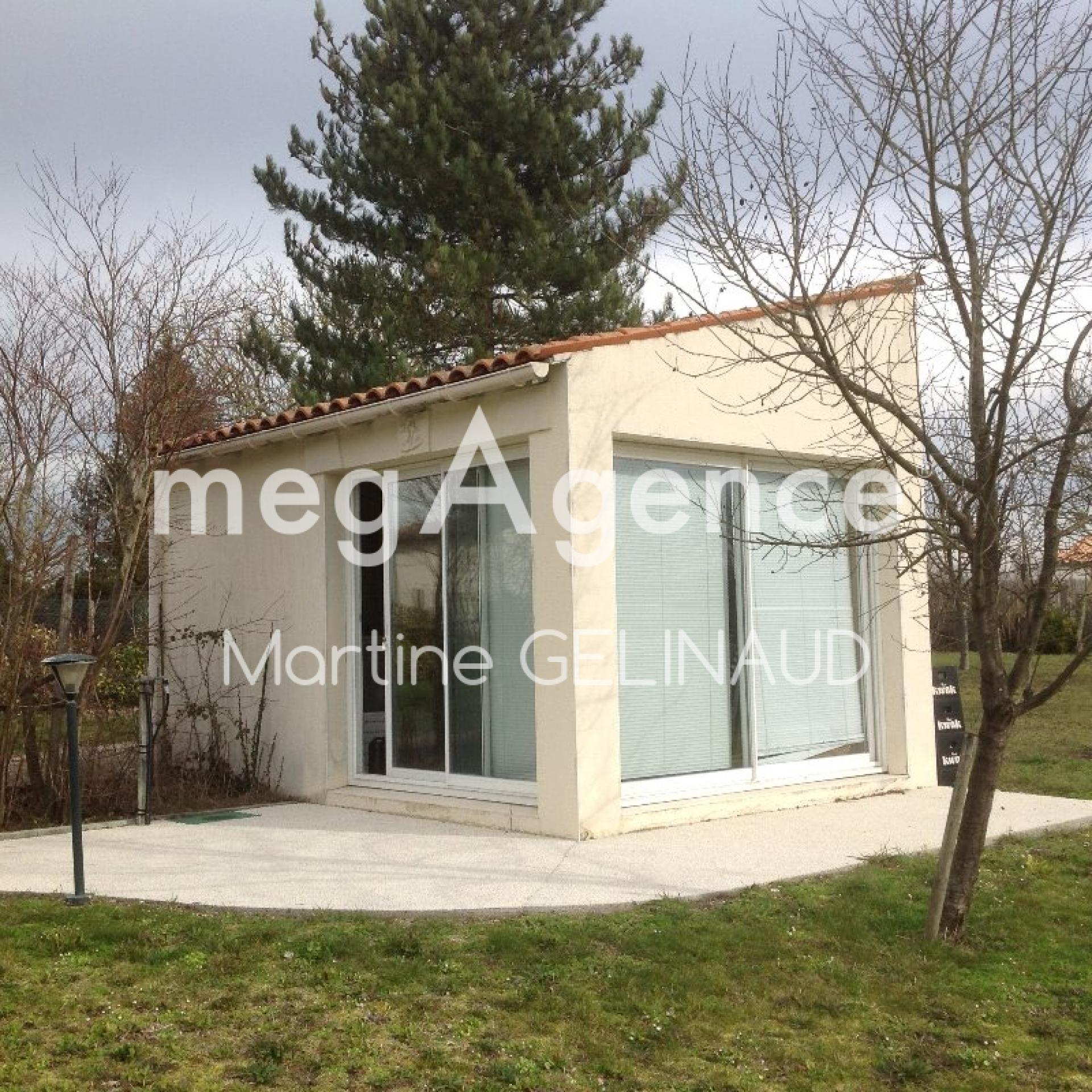 Miniature photo - 4 / 12