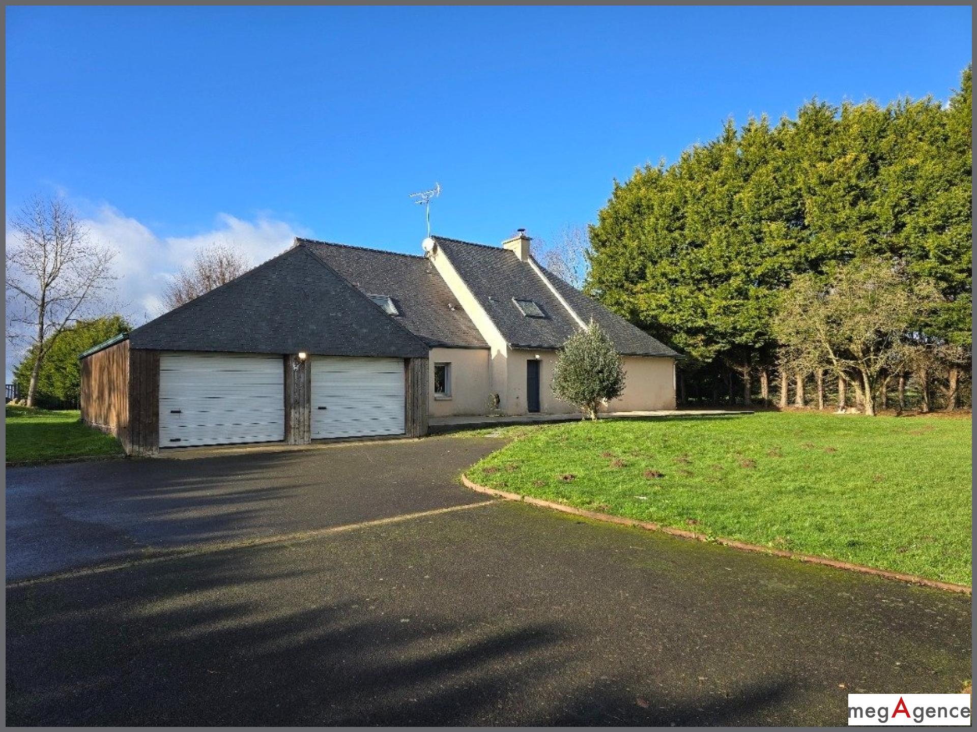 Miniature photo - 2 / 19