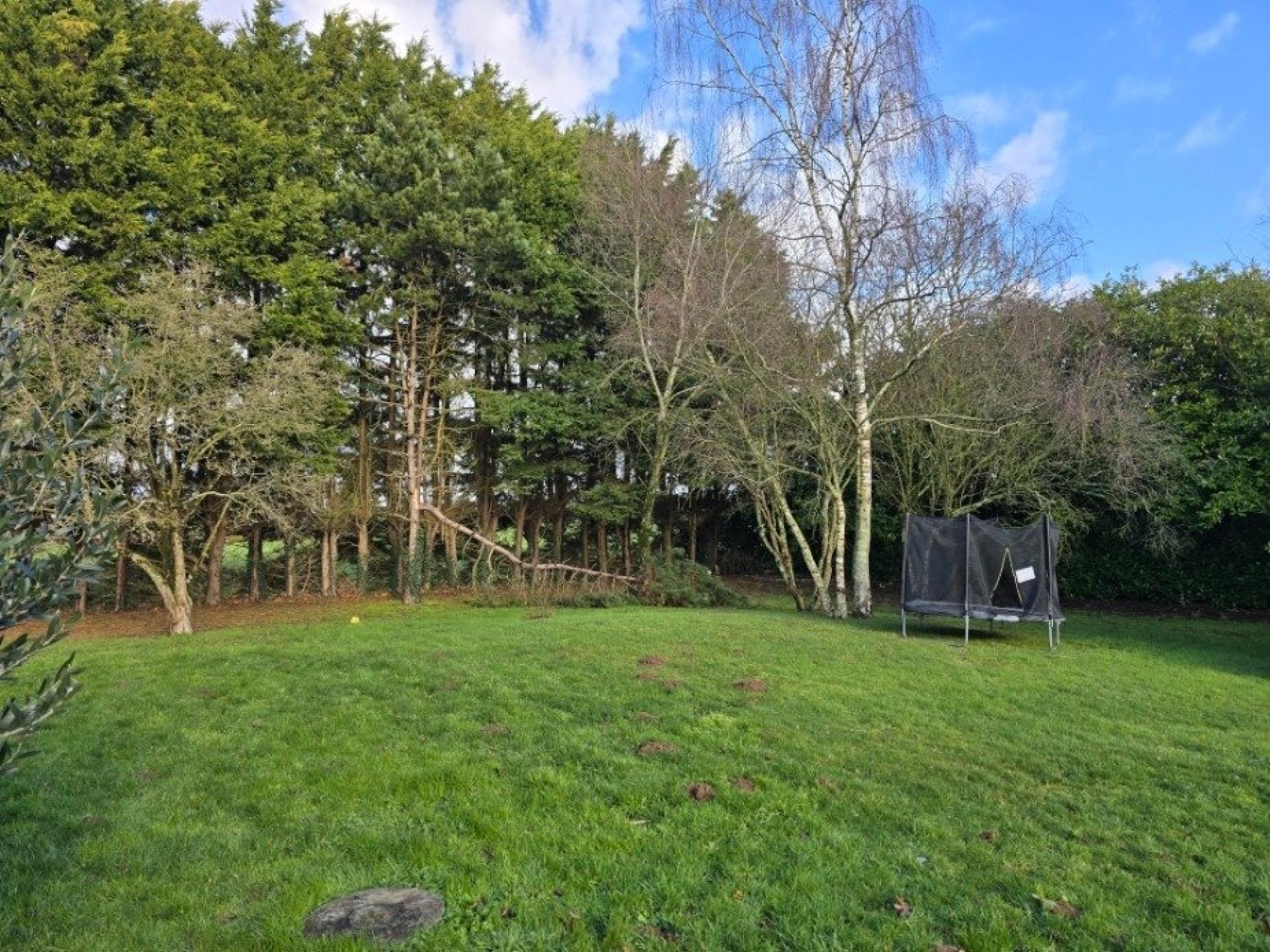 Miniature photo - 17 / 19