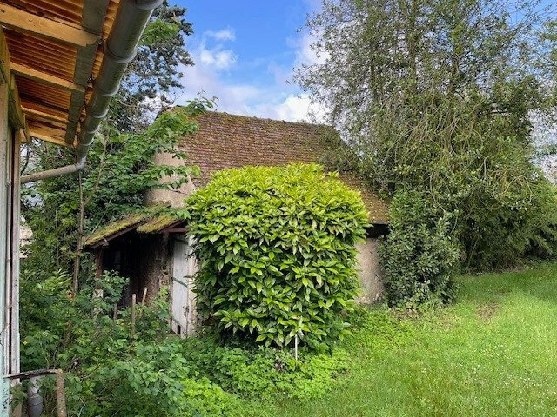 Miniature photo - 6 / 6