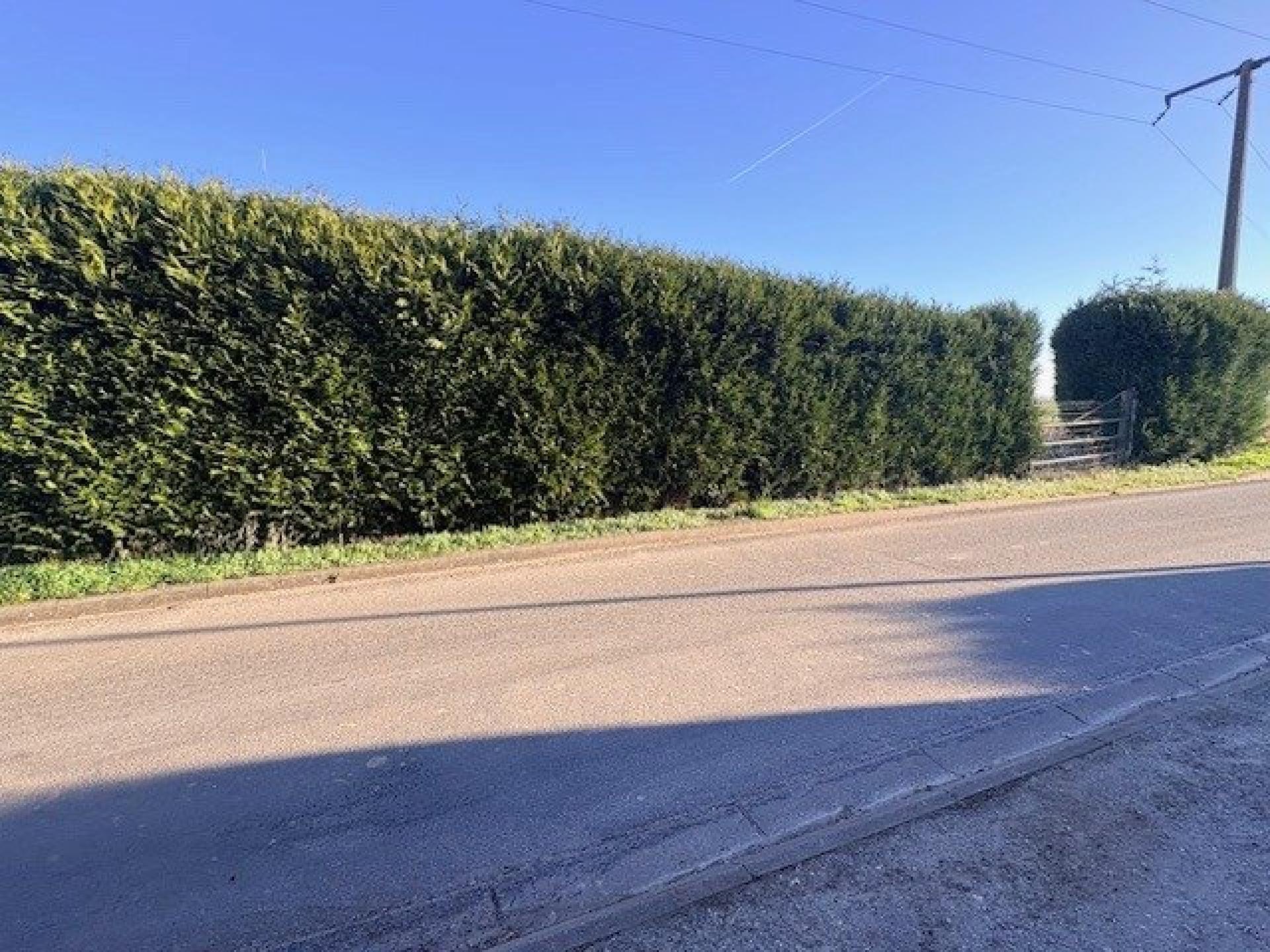 Miniature photo - 2 / 7