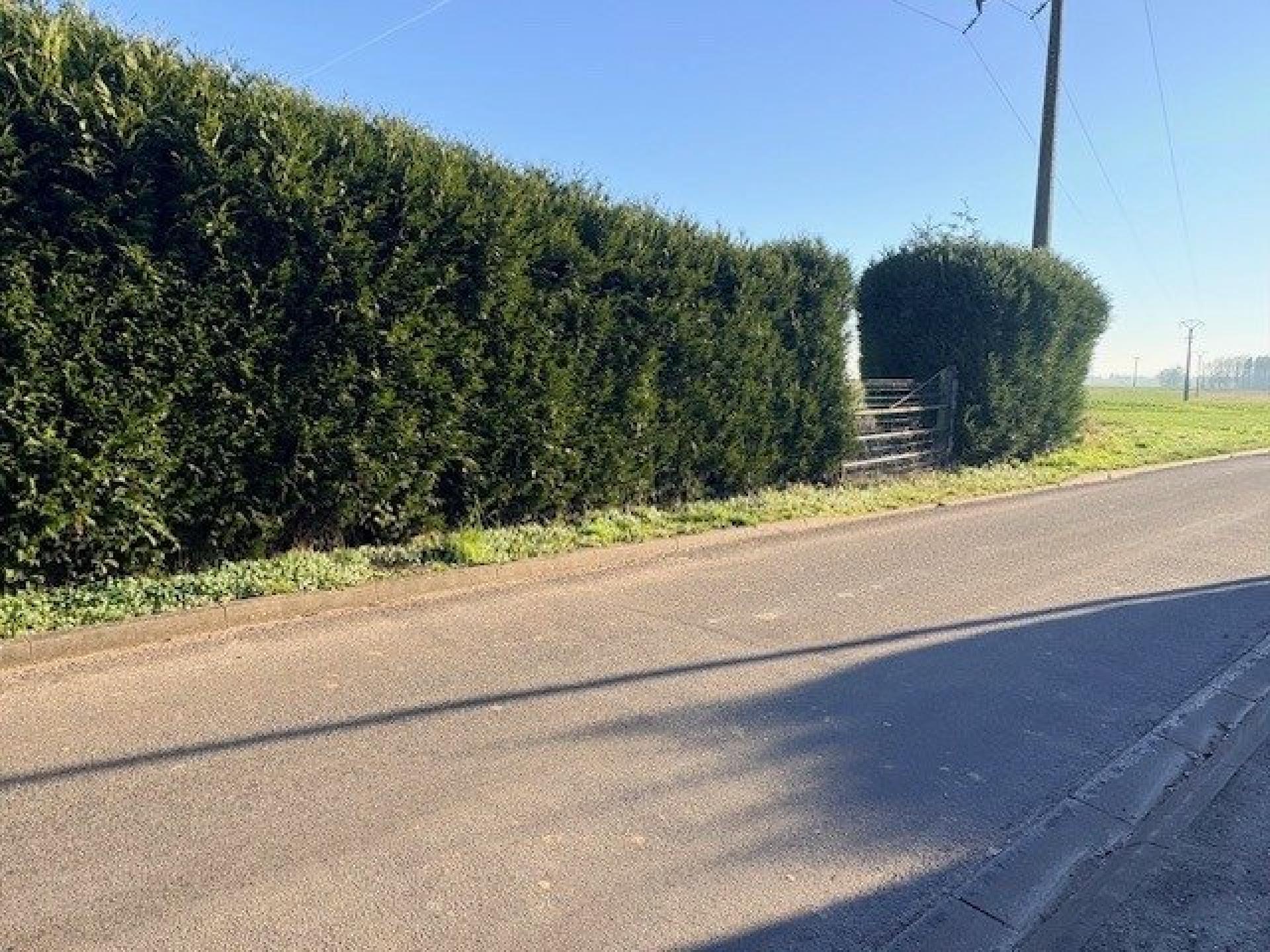 Miniature photo - 7 / 7