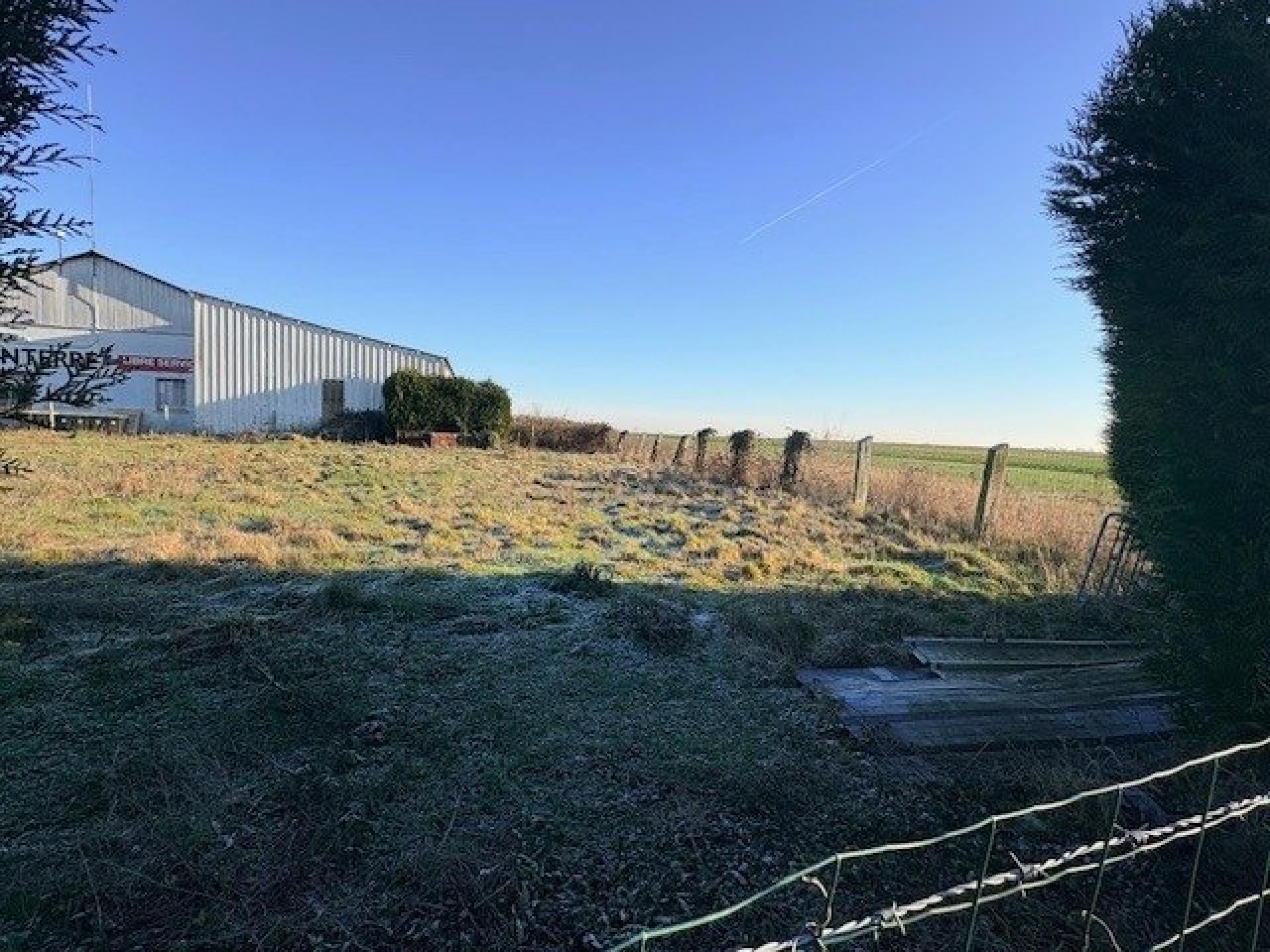 Miniature photo - 3 / 7