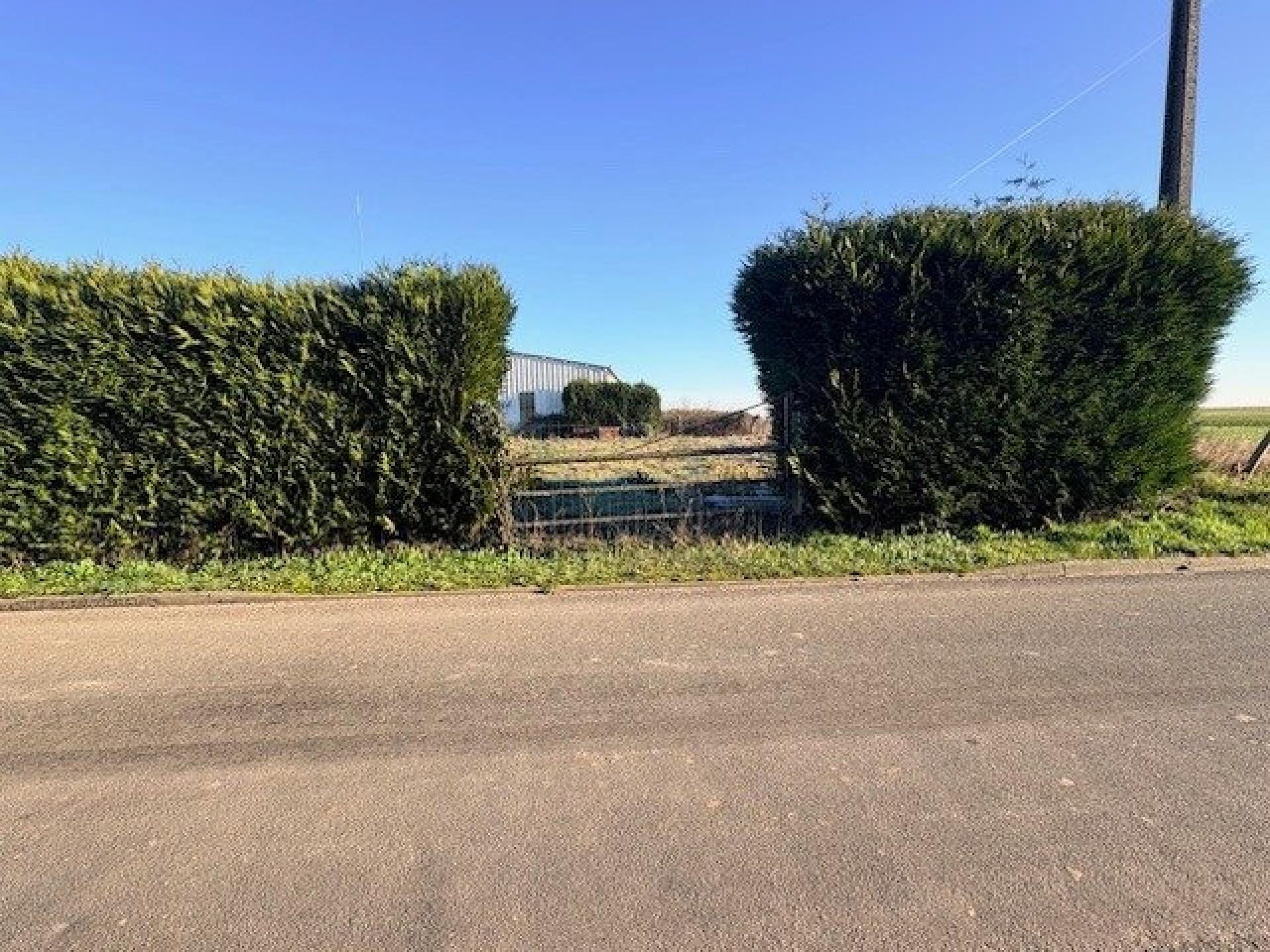 Miniature photo - 4 / 7