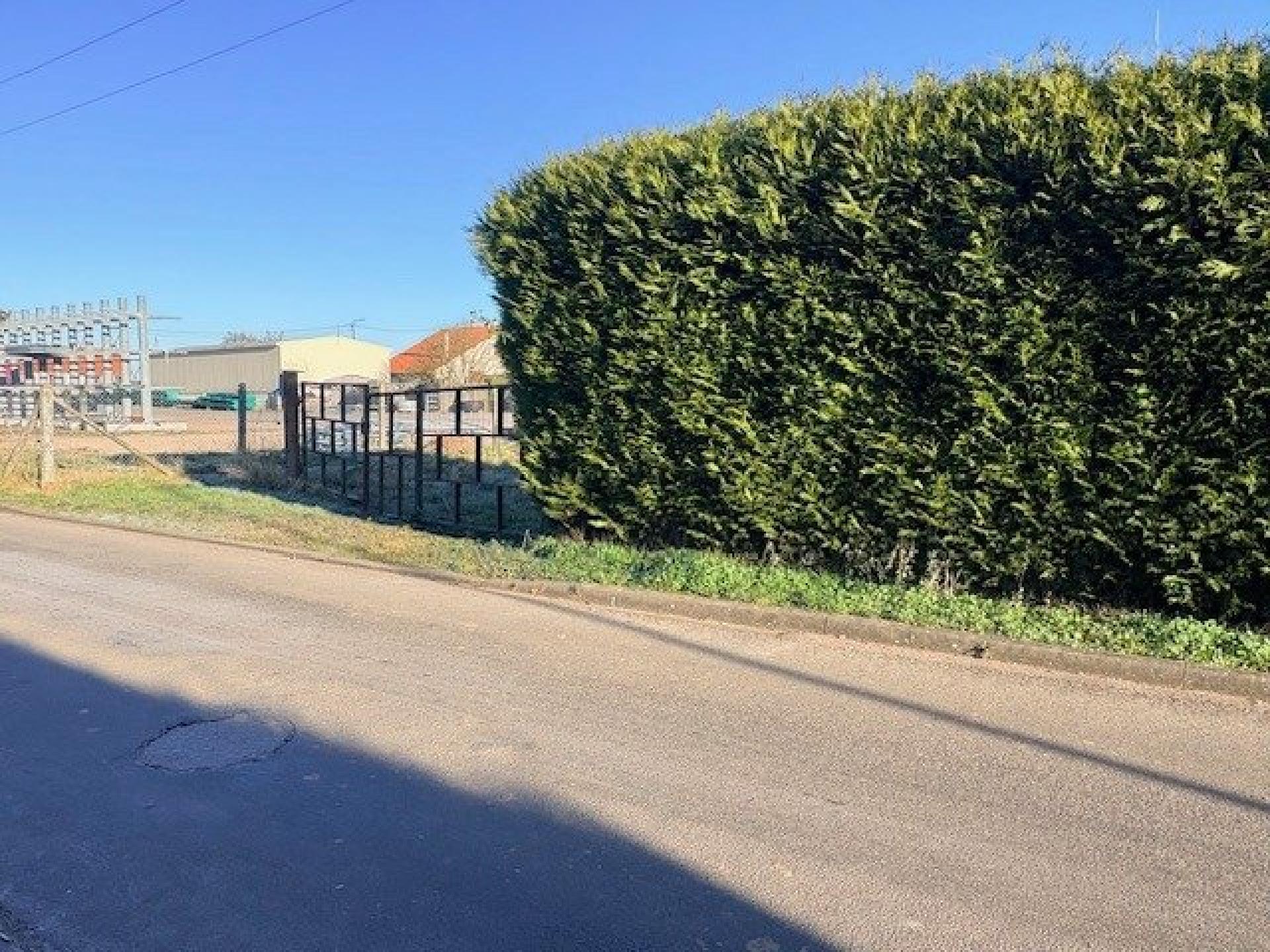 Miniature photo - 6 / 7