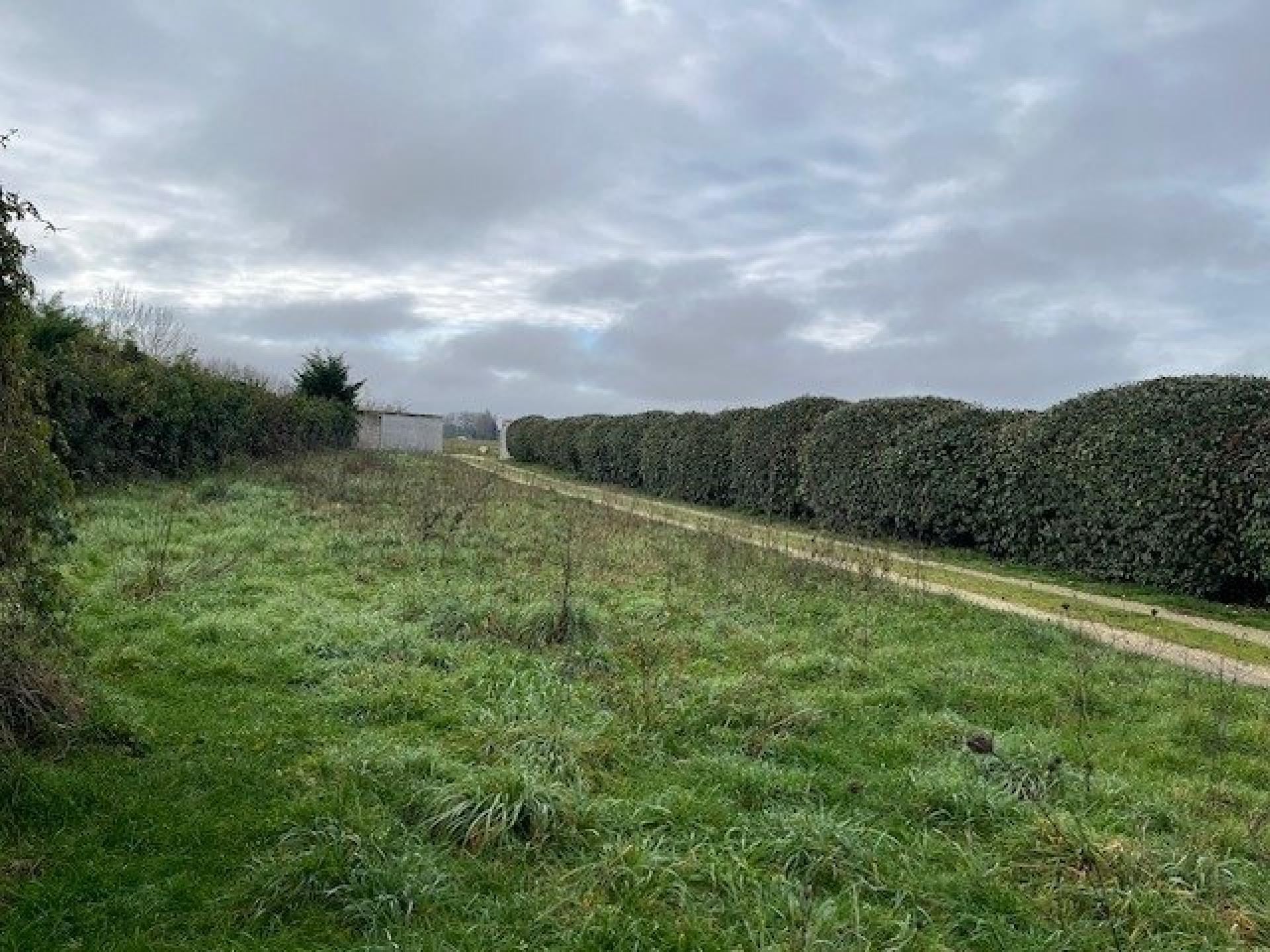 Miniature photo - 7 / 9