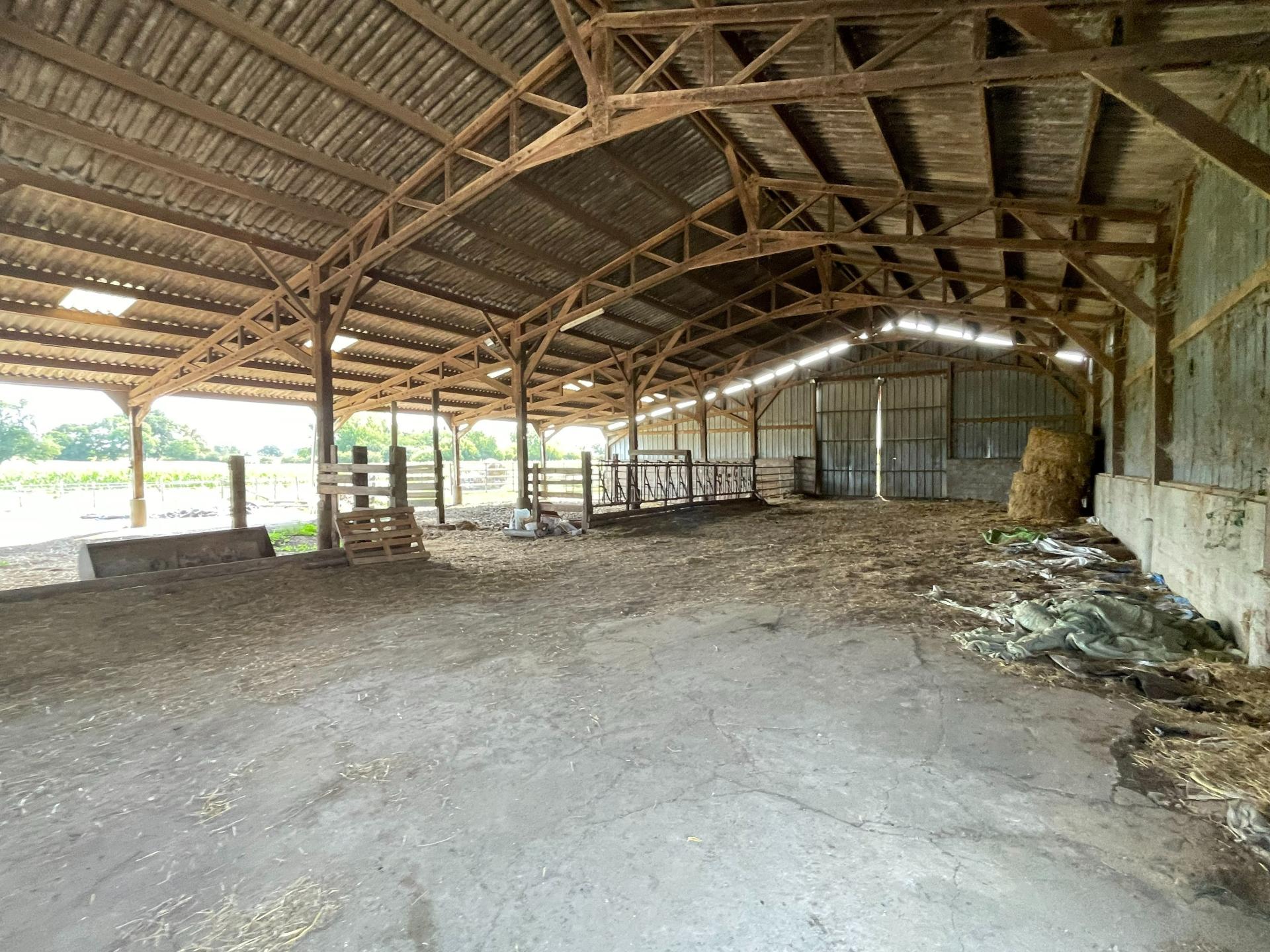 Miniature photo - 11 / 11