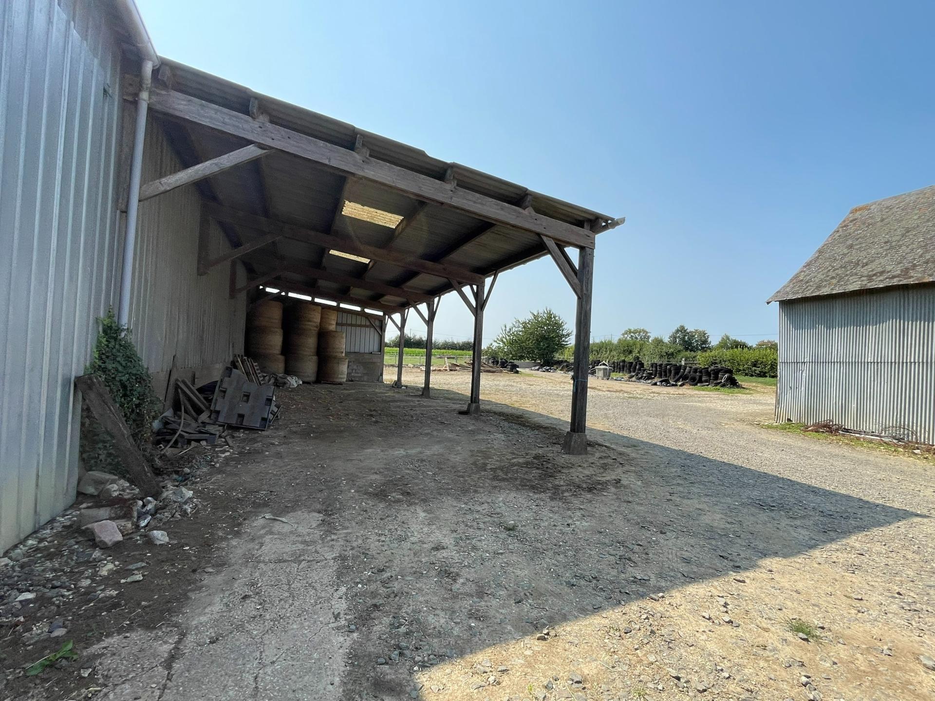 Miniature photo - 10 / 11