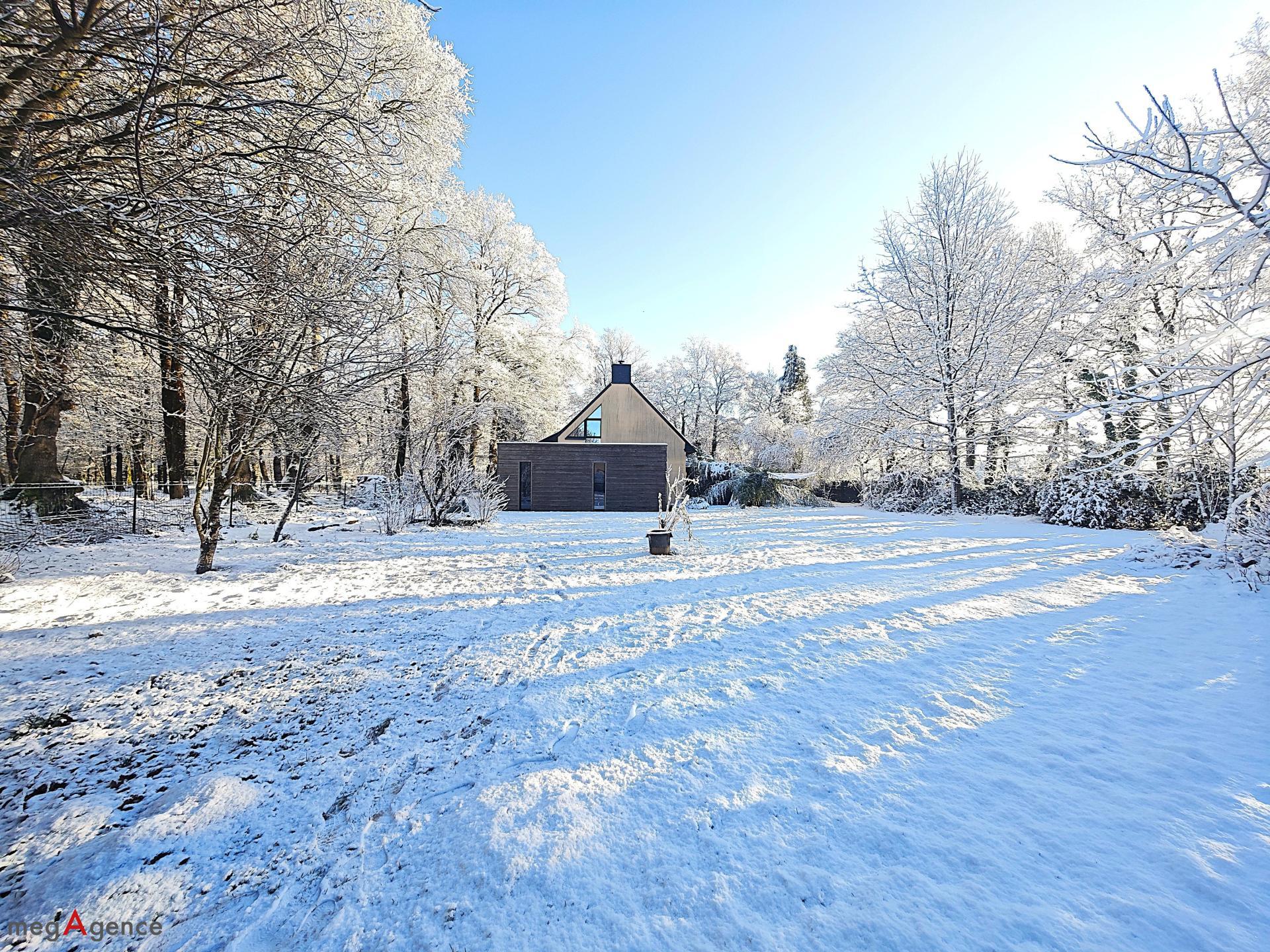 Miniature photo - 2 / 17