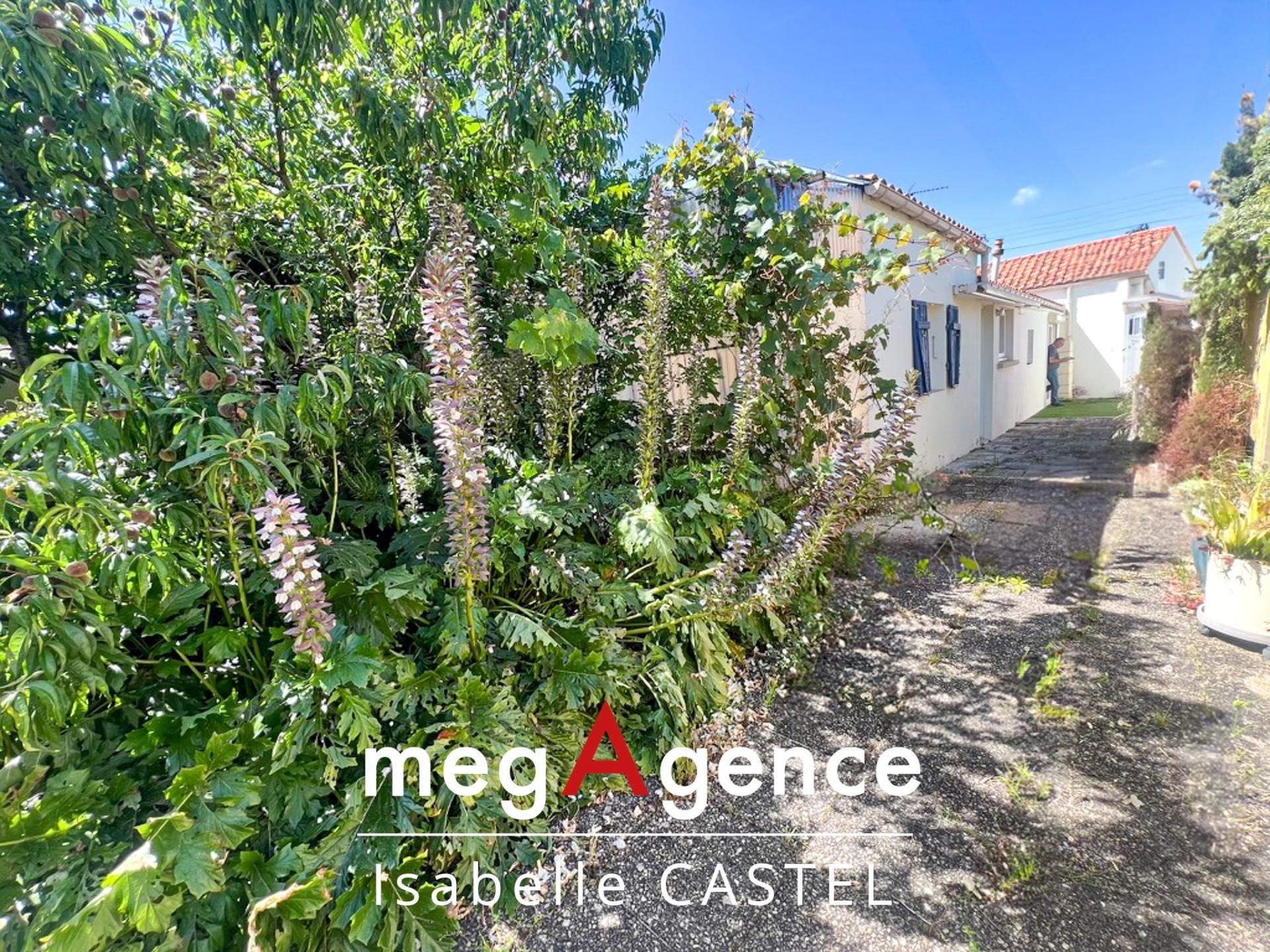 Miniature photo - 3 / 9