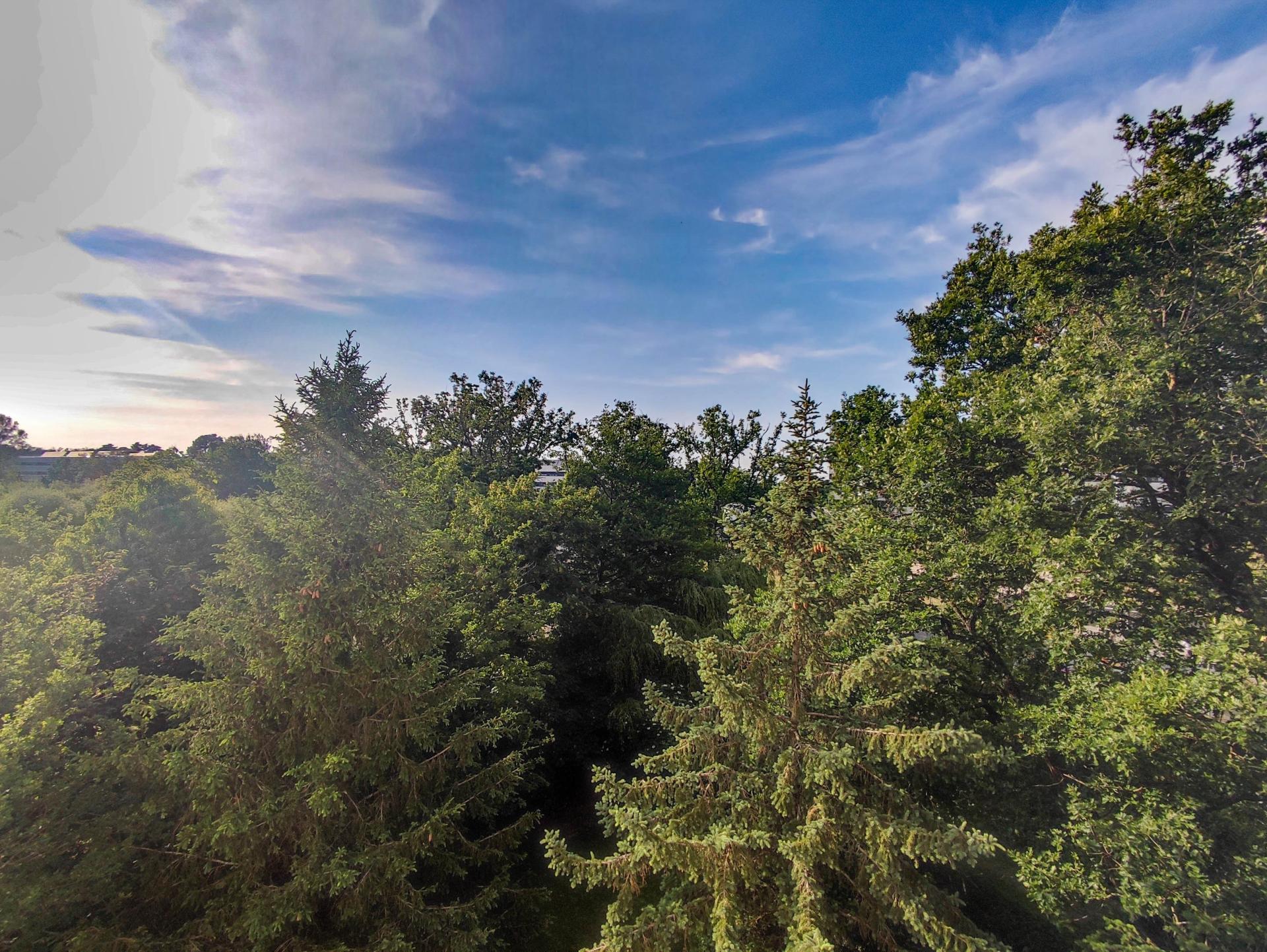 Miniature photo - 8 / 11