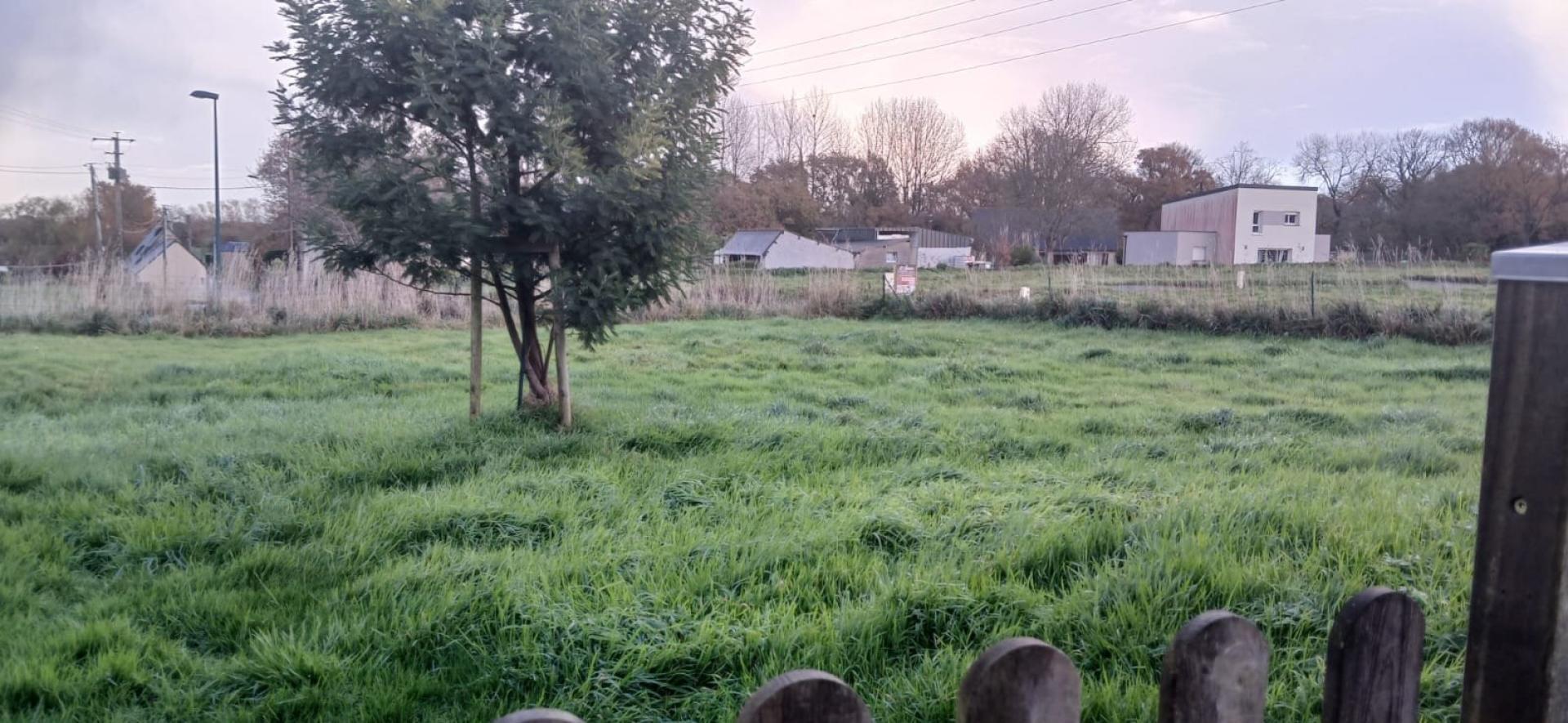 Miniature photo - 12 / 12