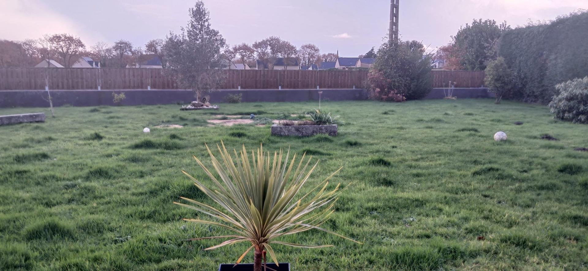 Miniature photo - 11 / 12