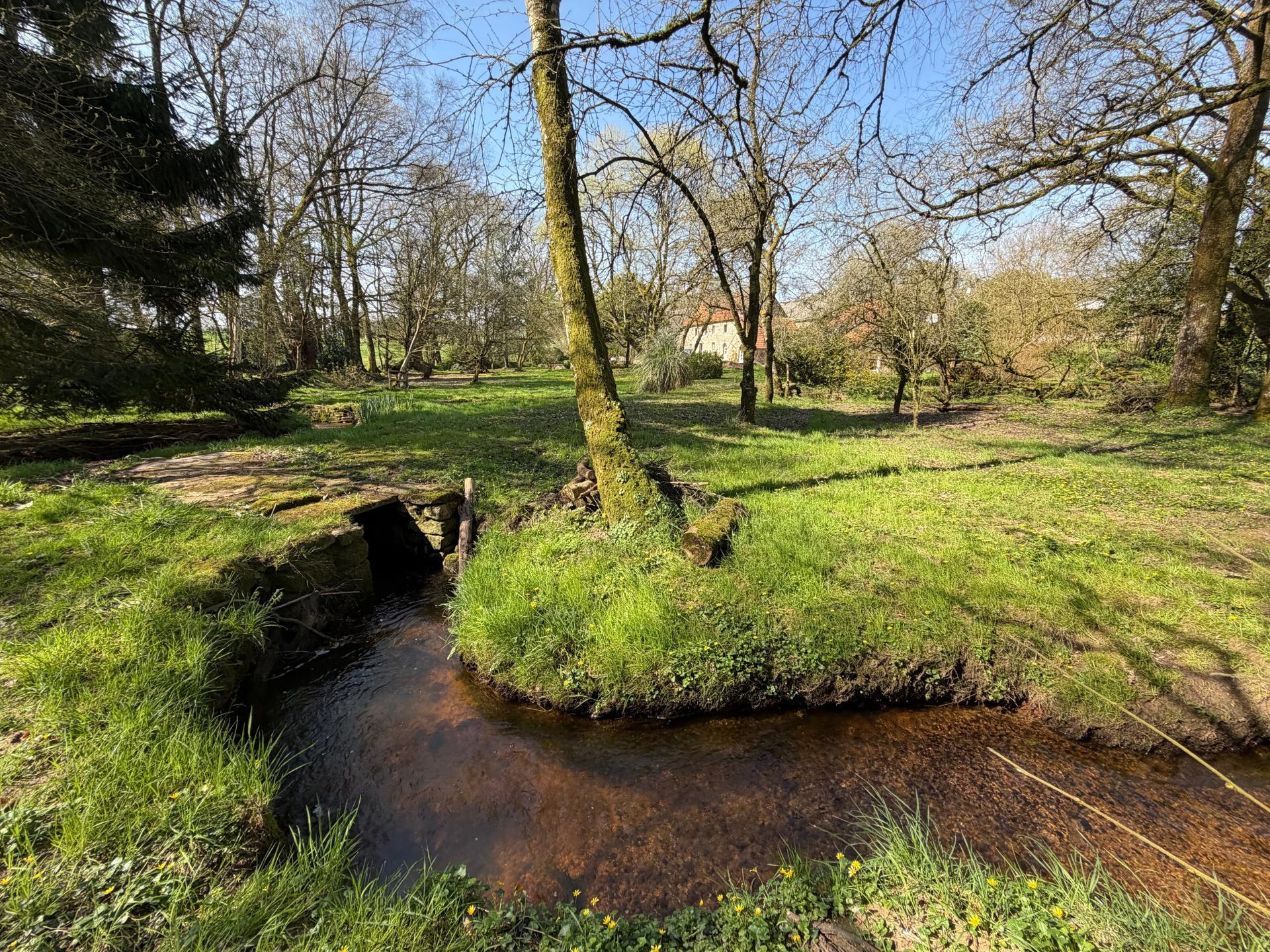 Miniature photo - 2 / 16