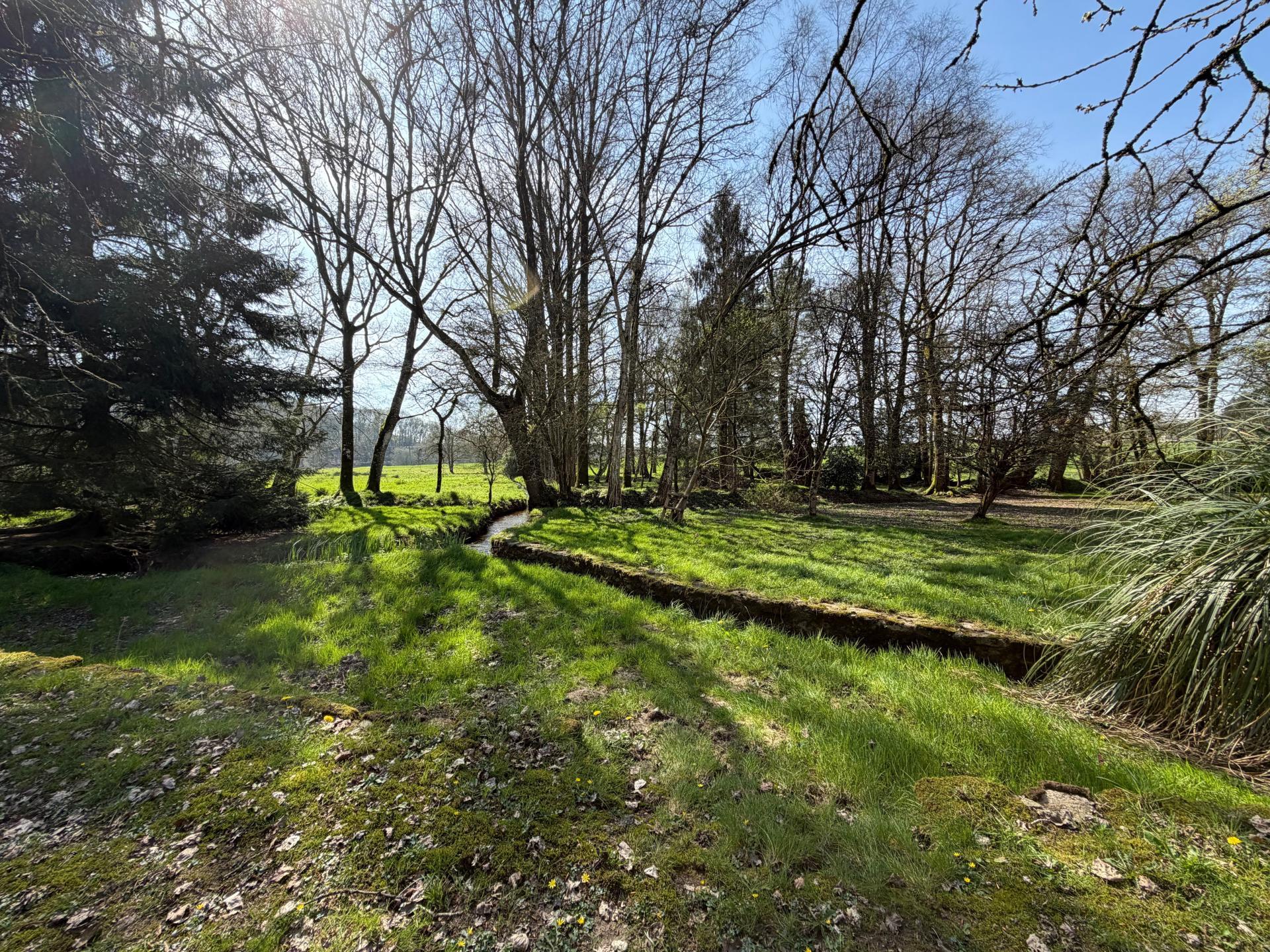 Miniature photo - 15 / 16