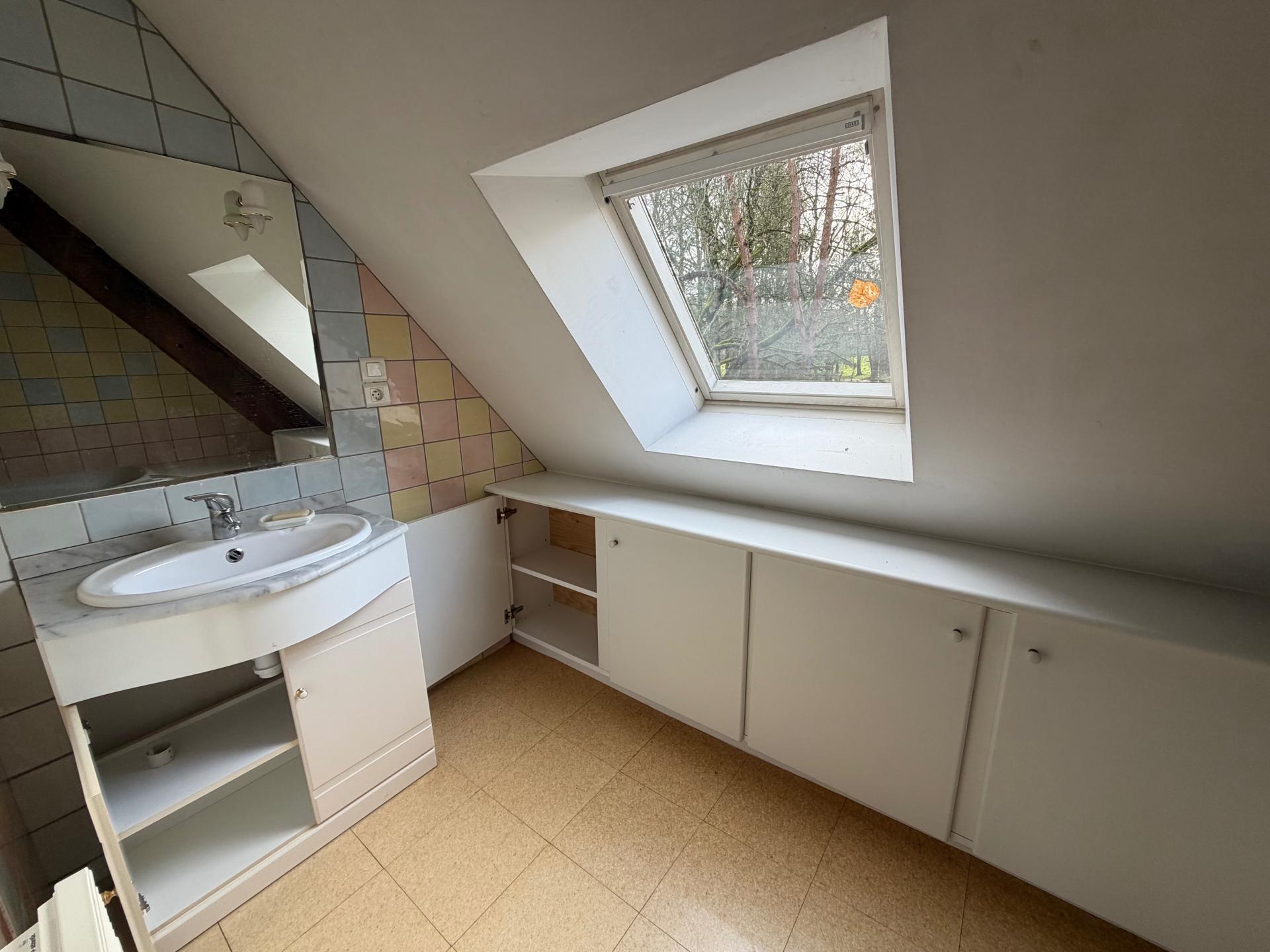 Miniature photo - 10 / 16