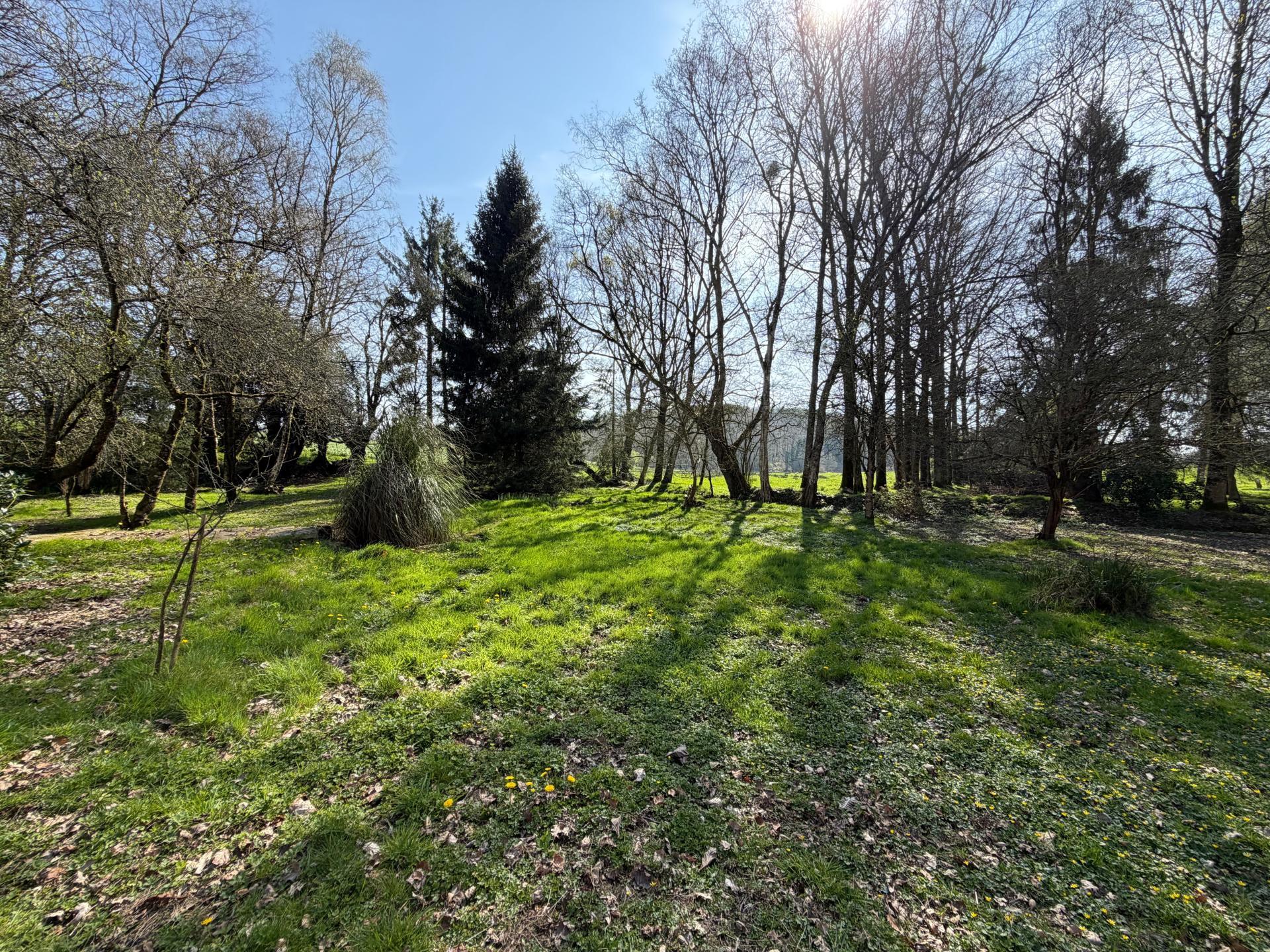 Miniature photo - 14 / 16