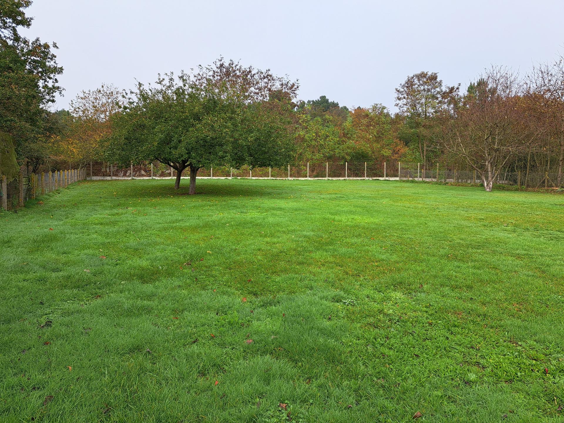 Photographie descriptive du bien