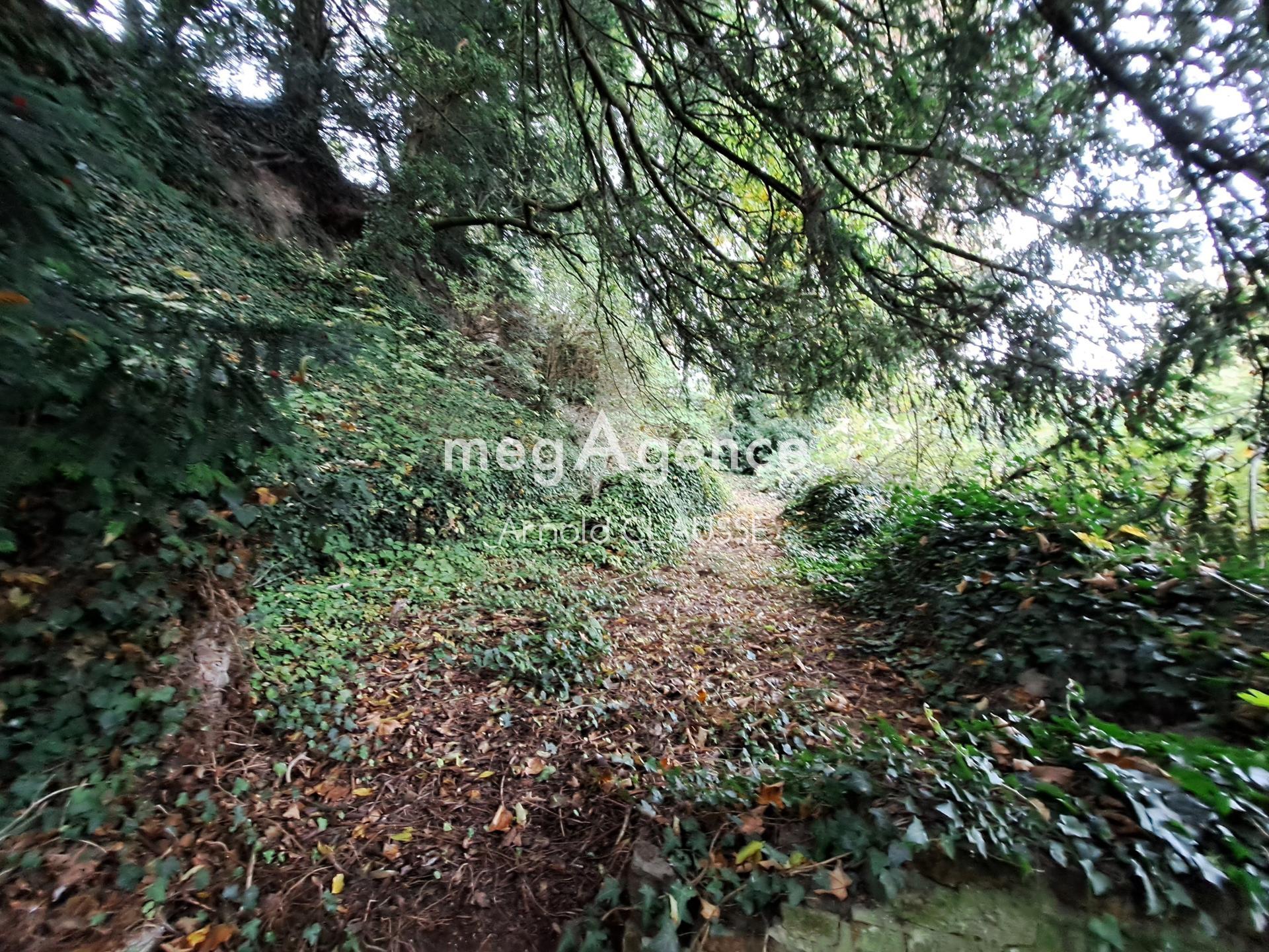 Miniature photo - 13 / 13