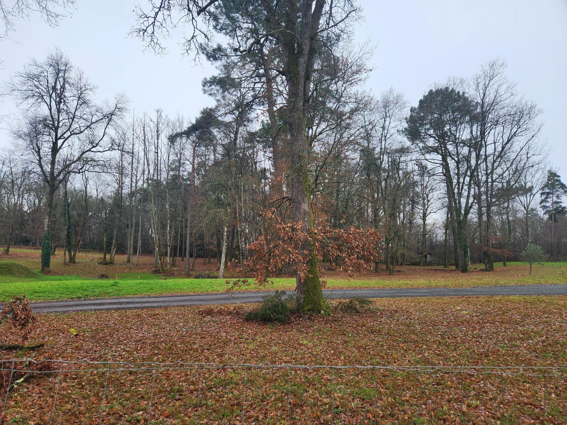 Miniature photo - 2 / 2