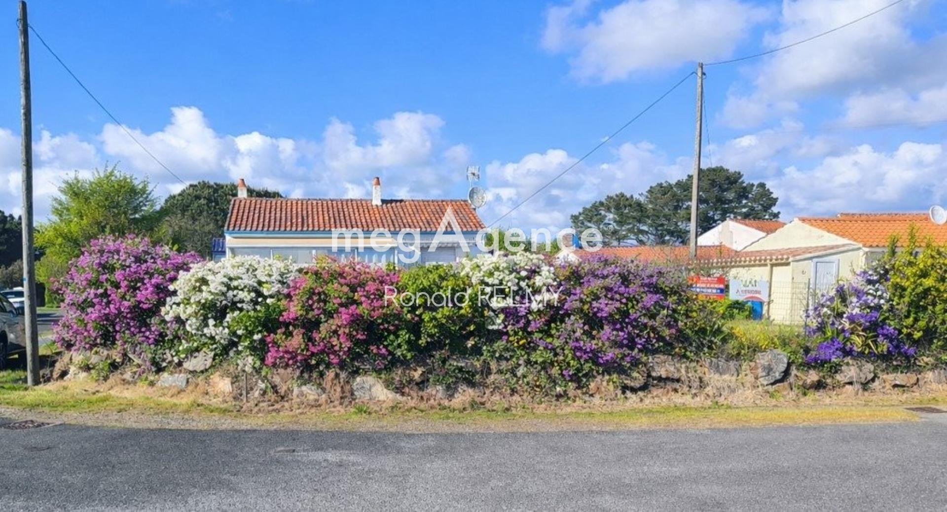 Miniature photo - 2 / 4